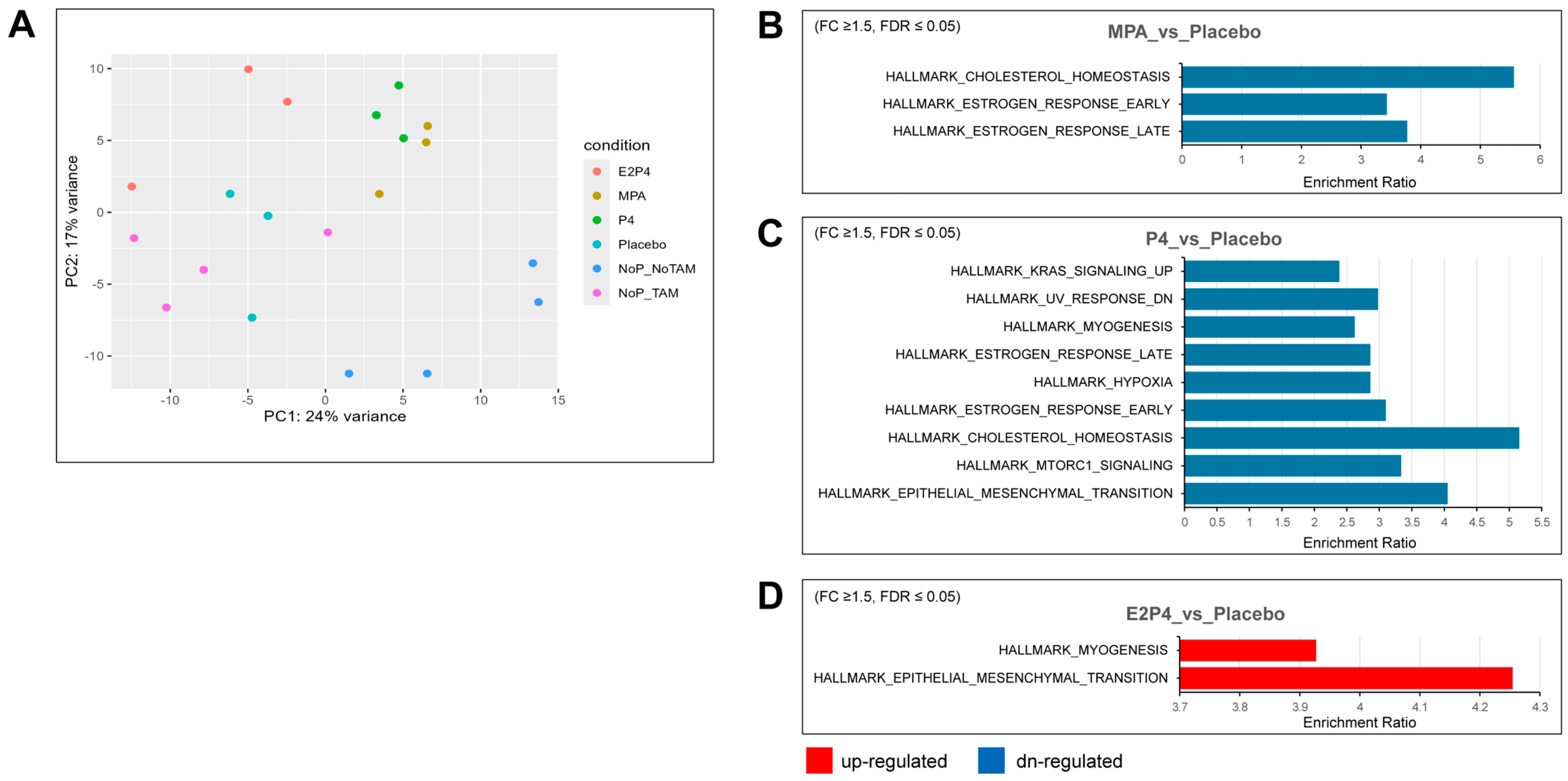 Cancers 17 03456 g005