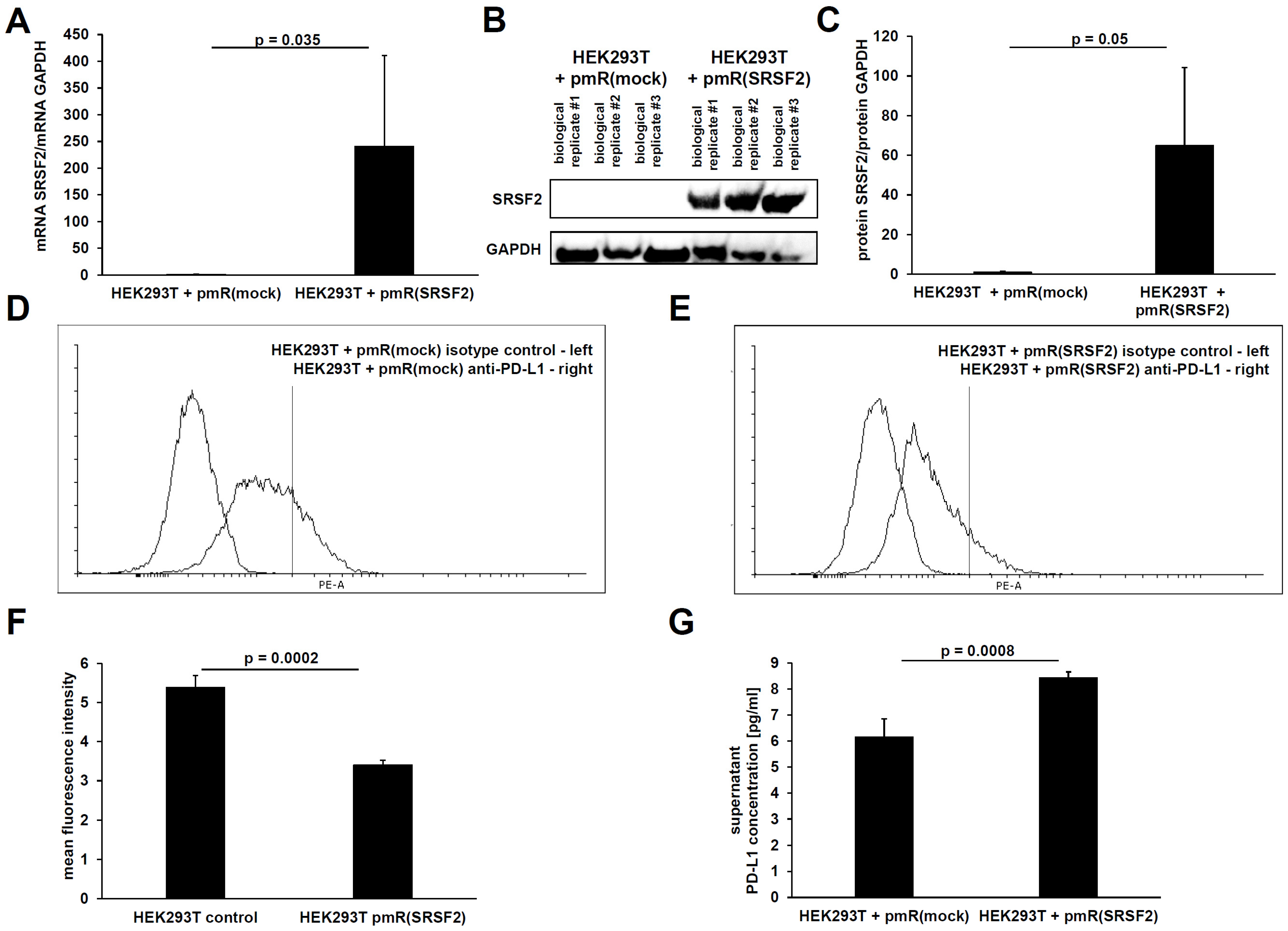 Cancers 17 03463 g002