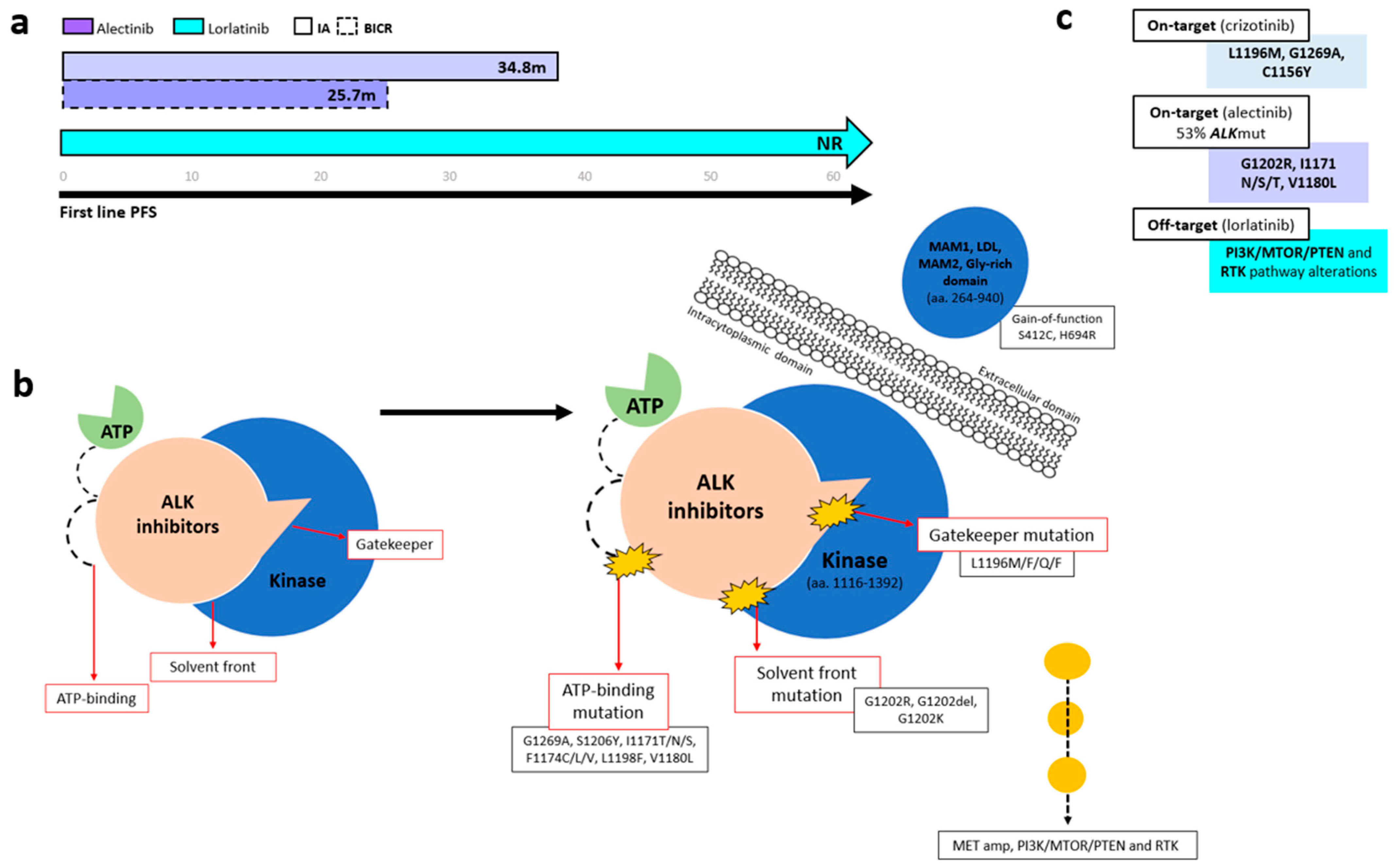 Cancers 17 03474 g003 Cancers 17 03474 g003