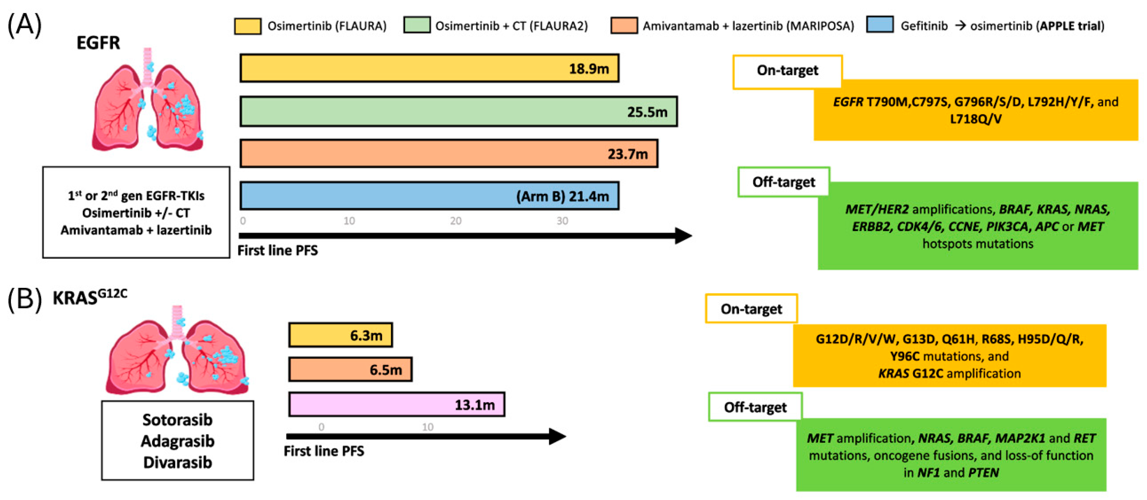 Cancers 17 03474 g004 Cancers 17 03474 g004