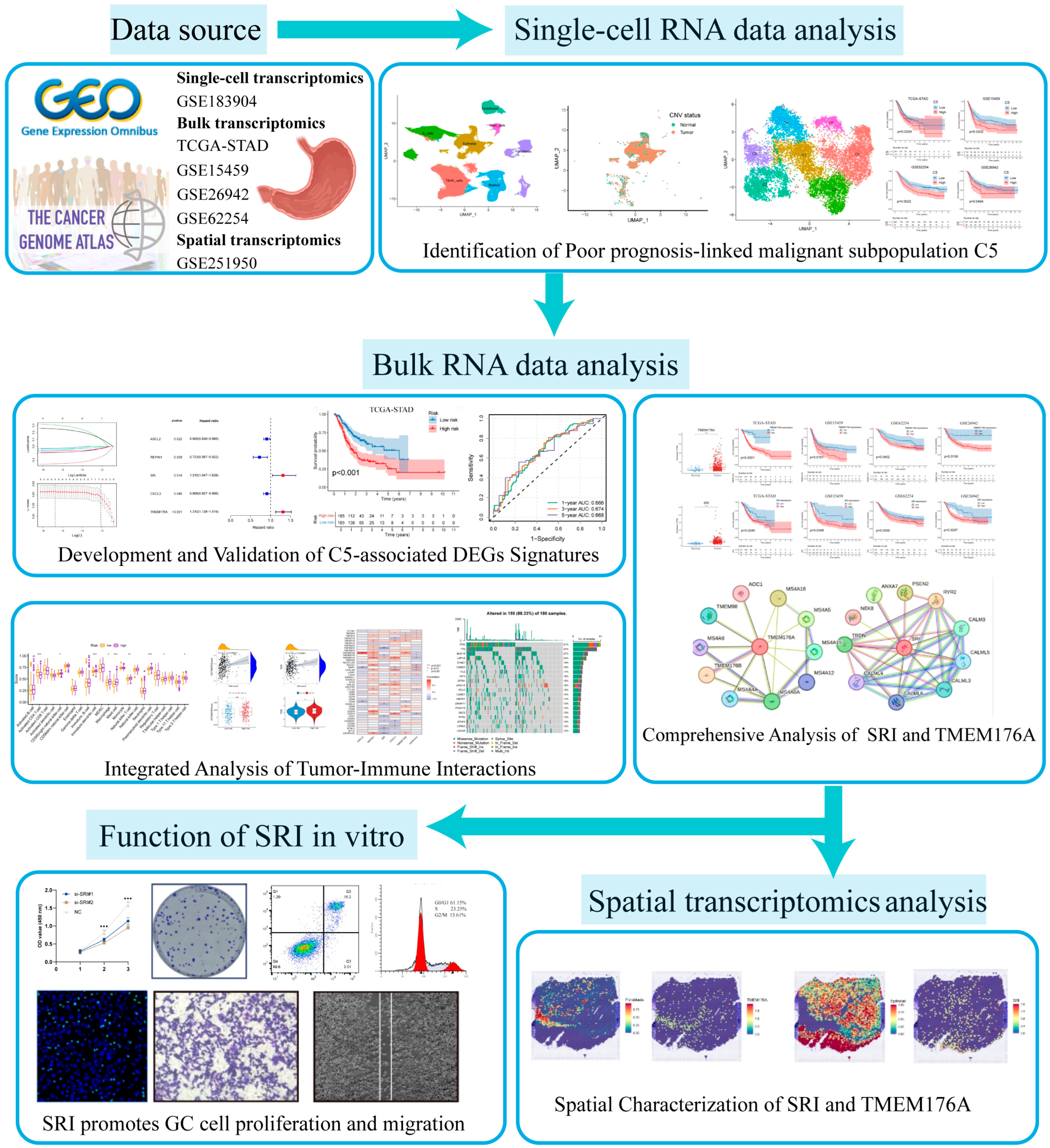 Cancers 17 03483 g001
