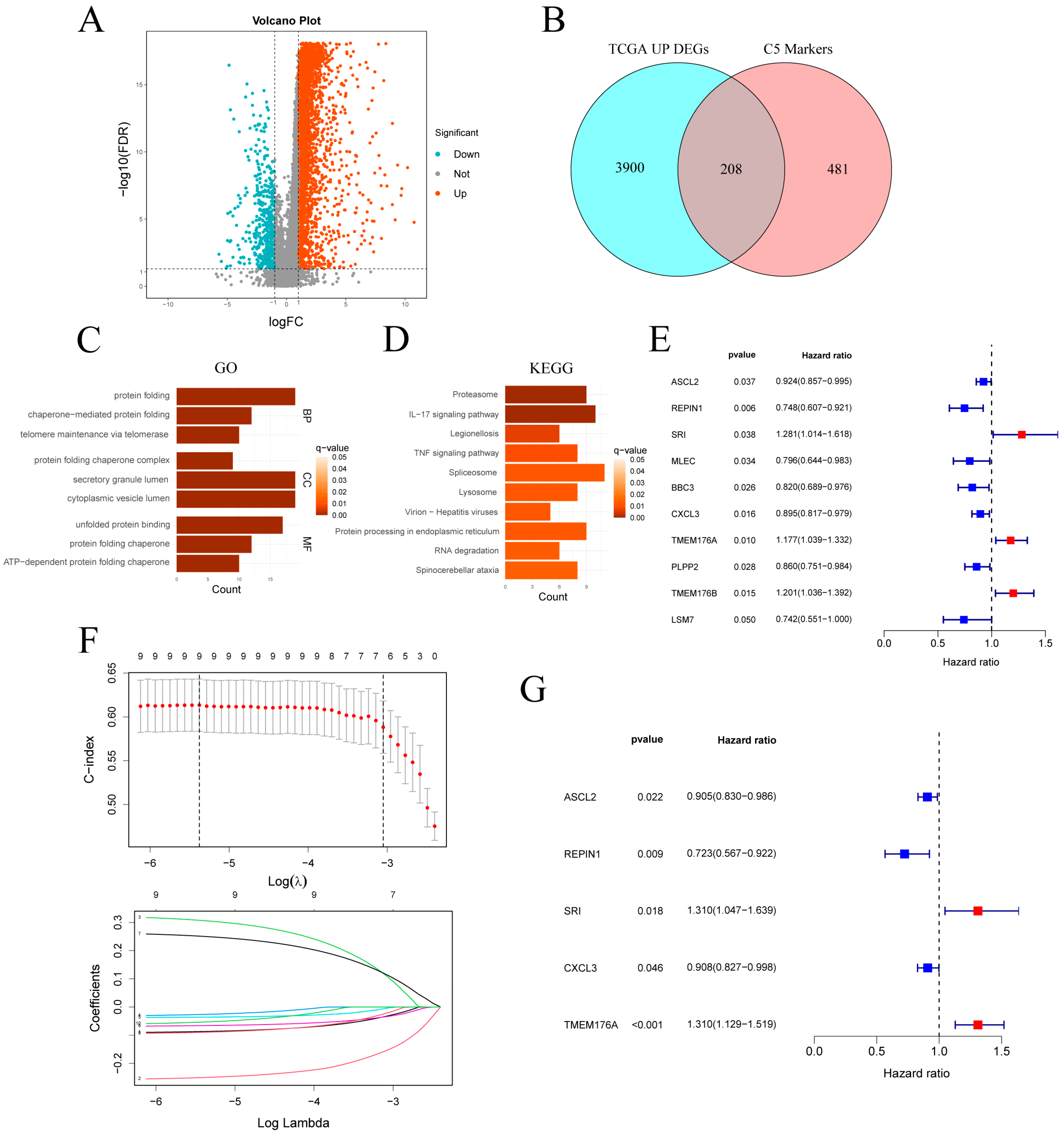 Cancers 17 03483 g005