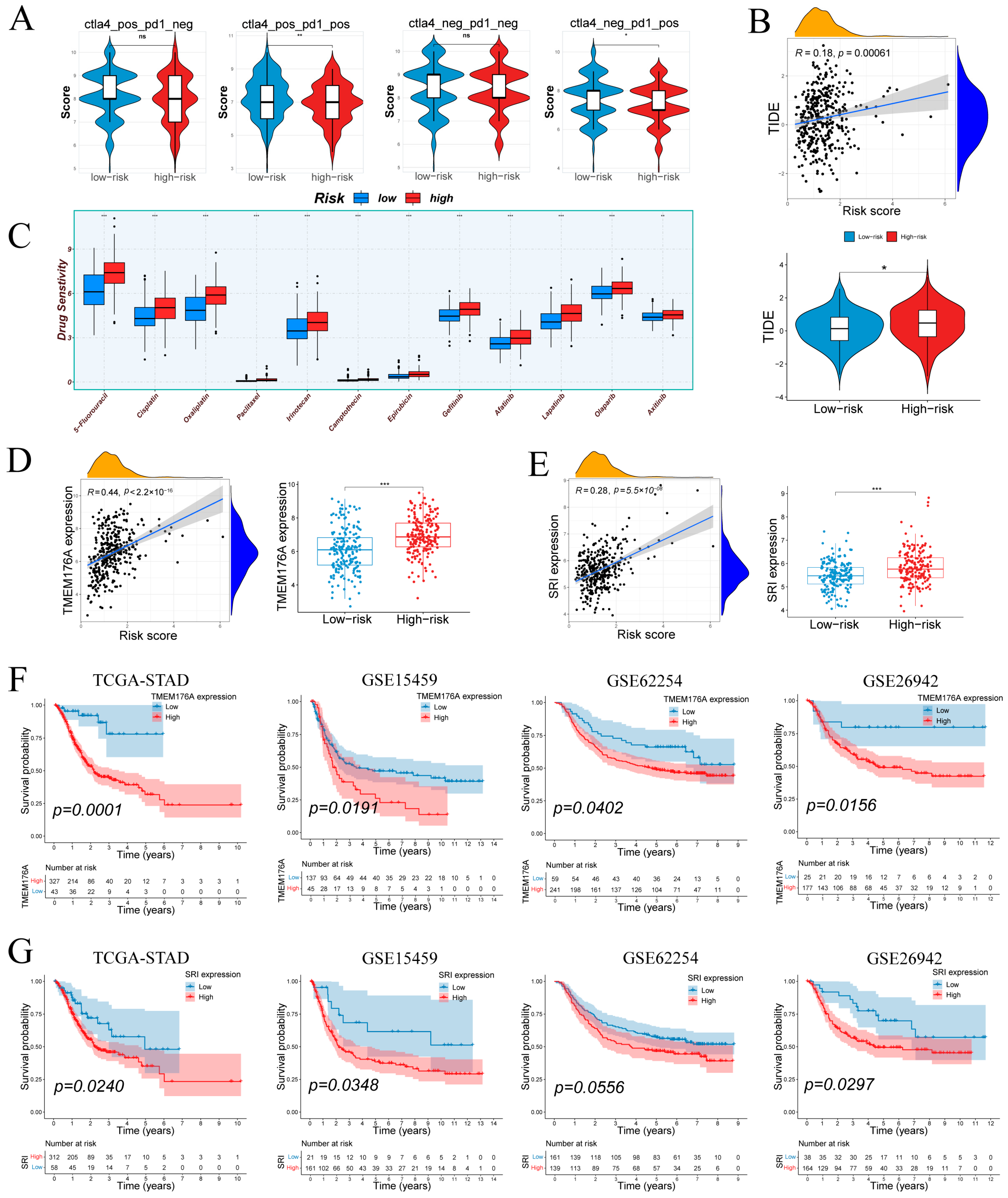 Cancers 17 03483 g009