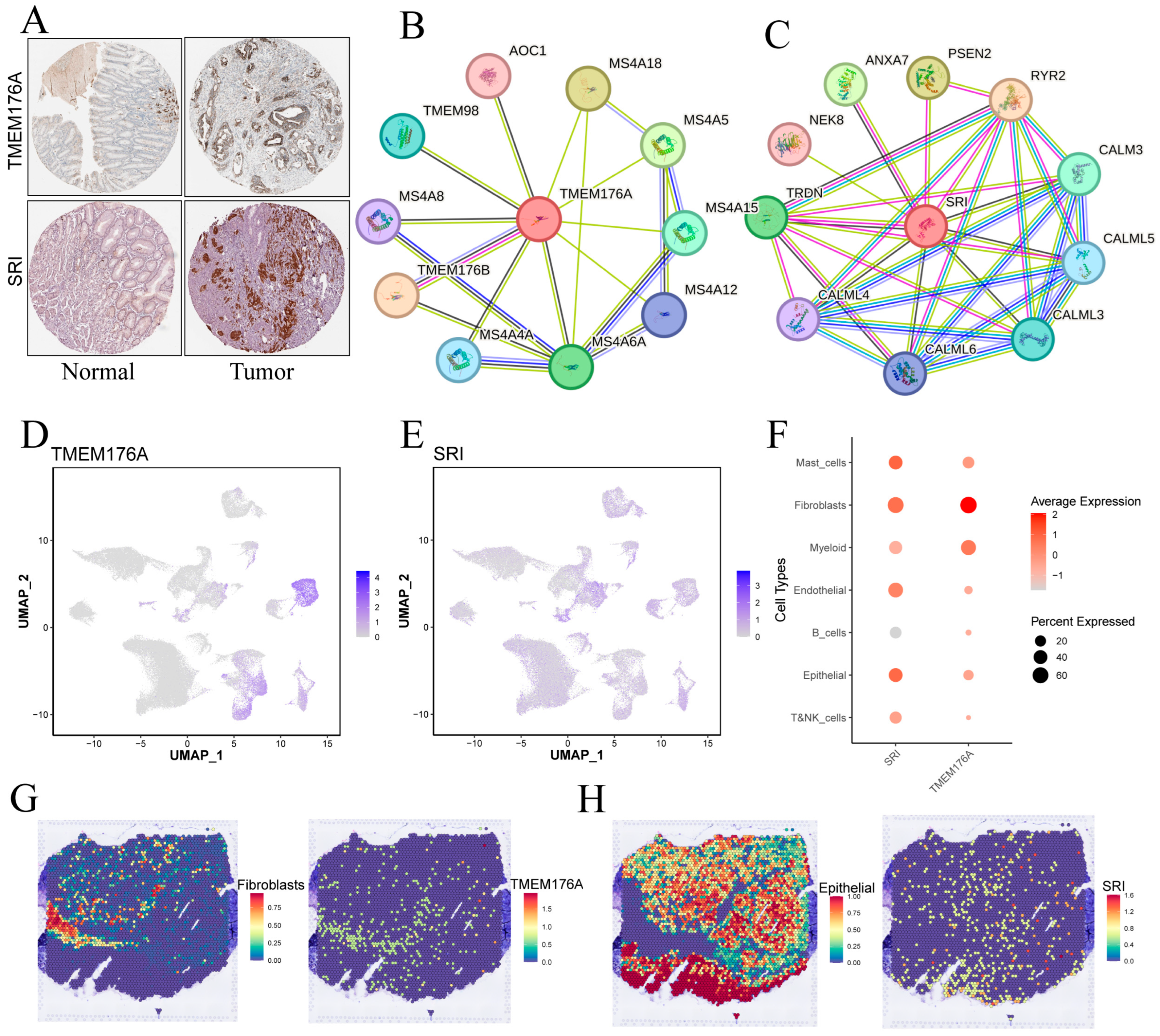 Cancers 17 03483 g010