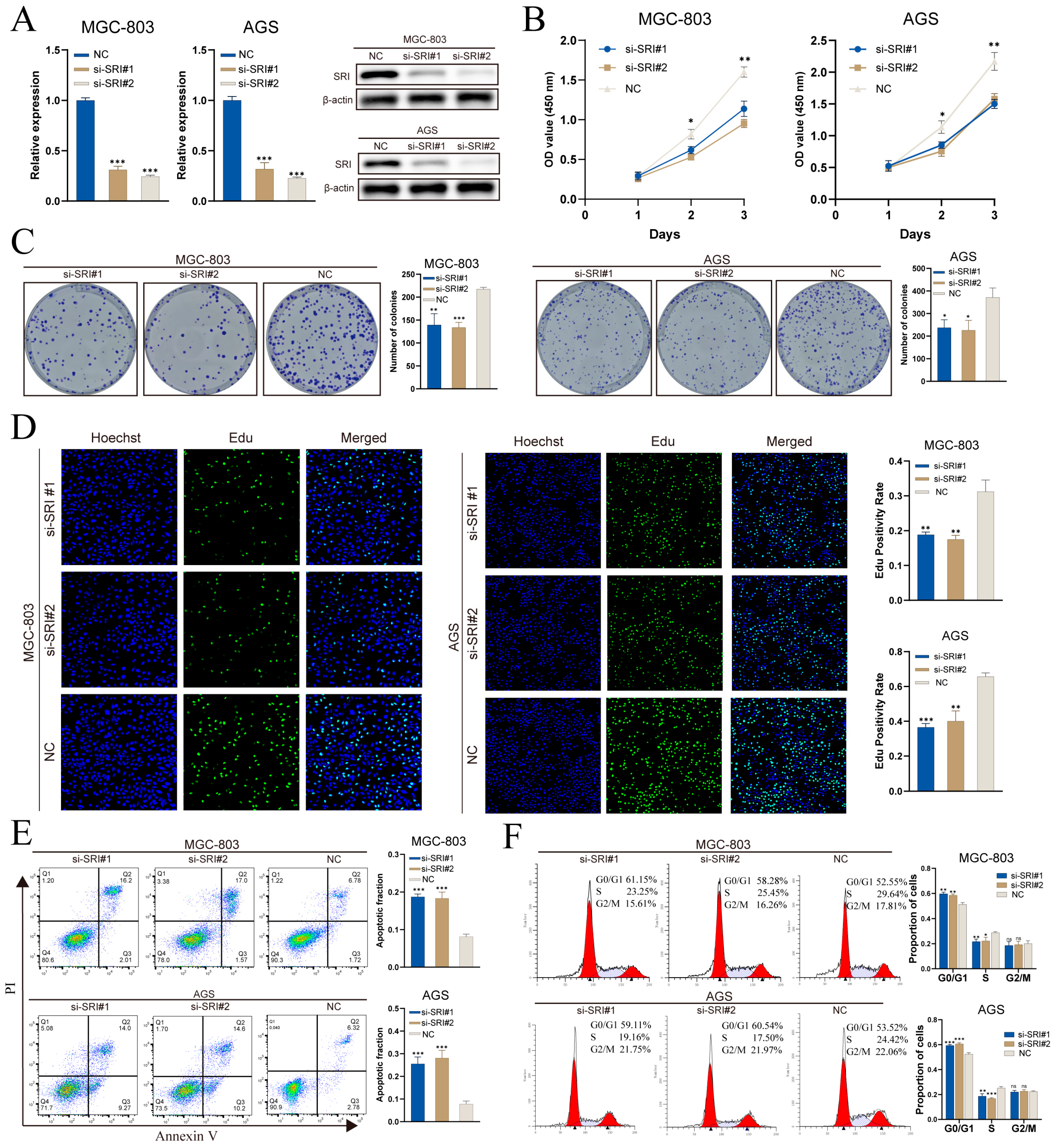 Cancers 17 03483 g011