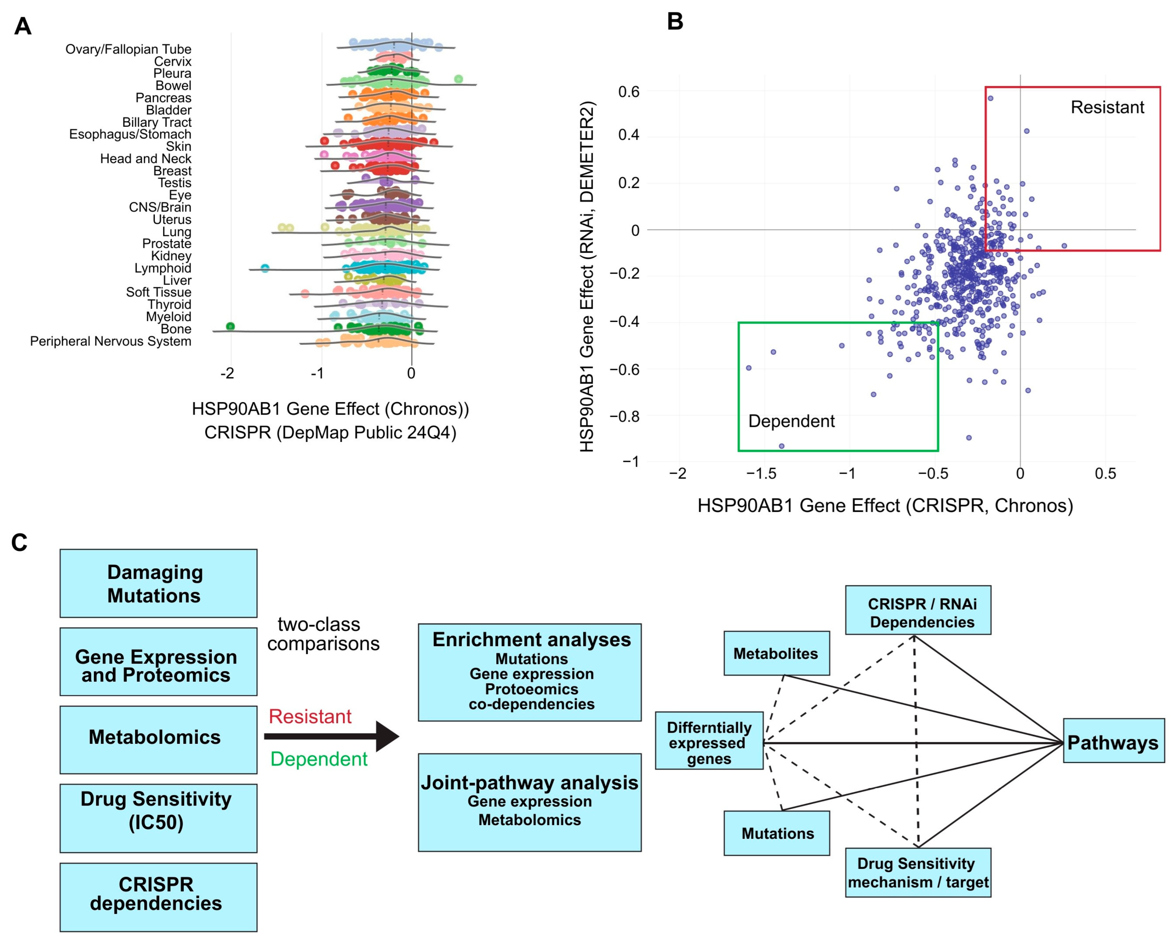 Cancers 17 03488 g001 Cancers 17 03488 g001