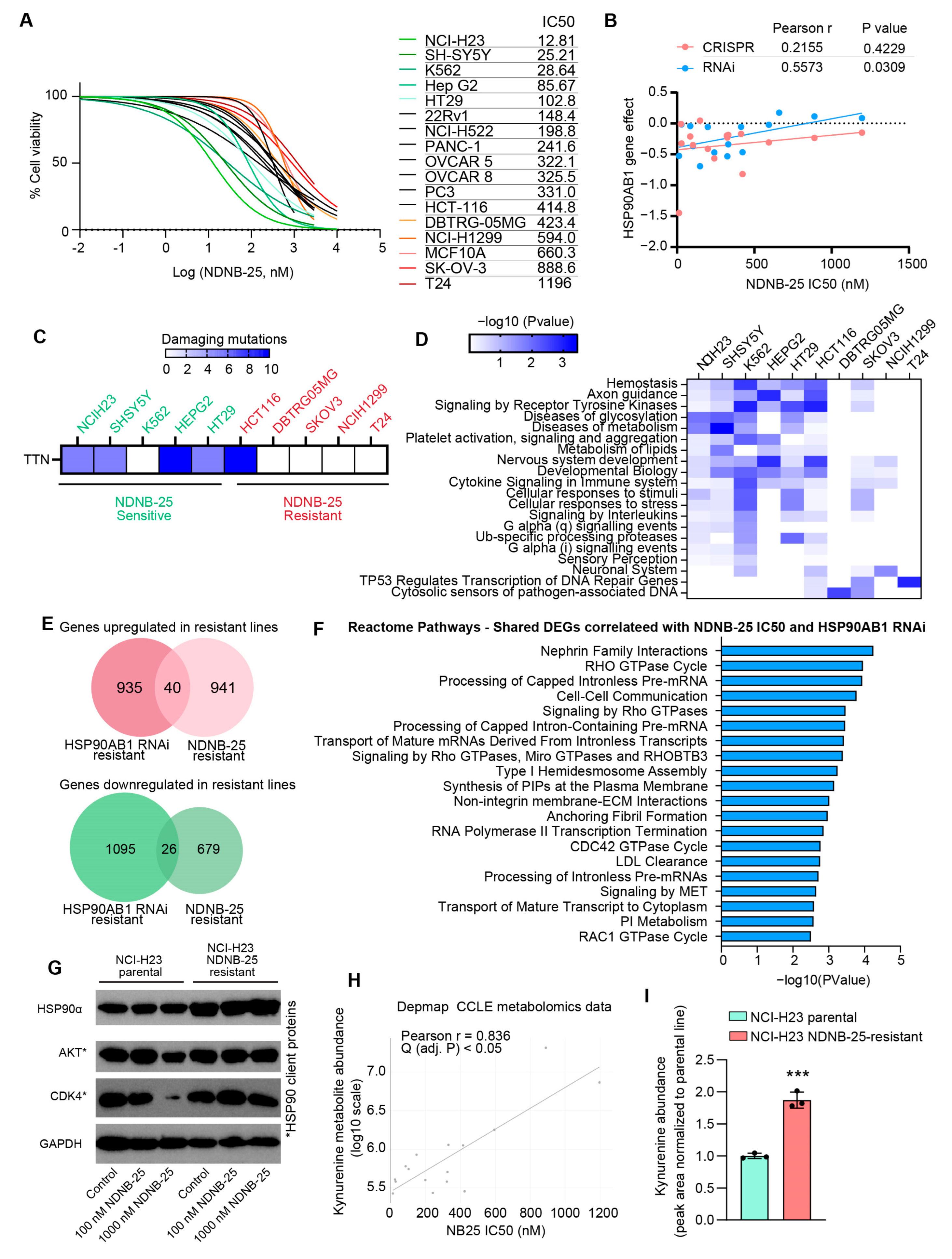 Cancers 17 03488 g004 Cancers 17 03488 g004