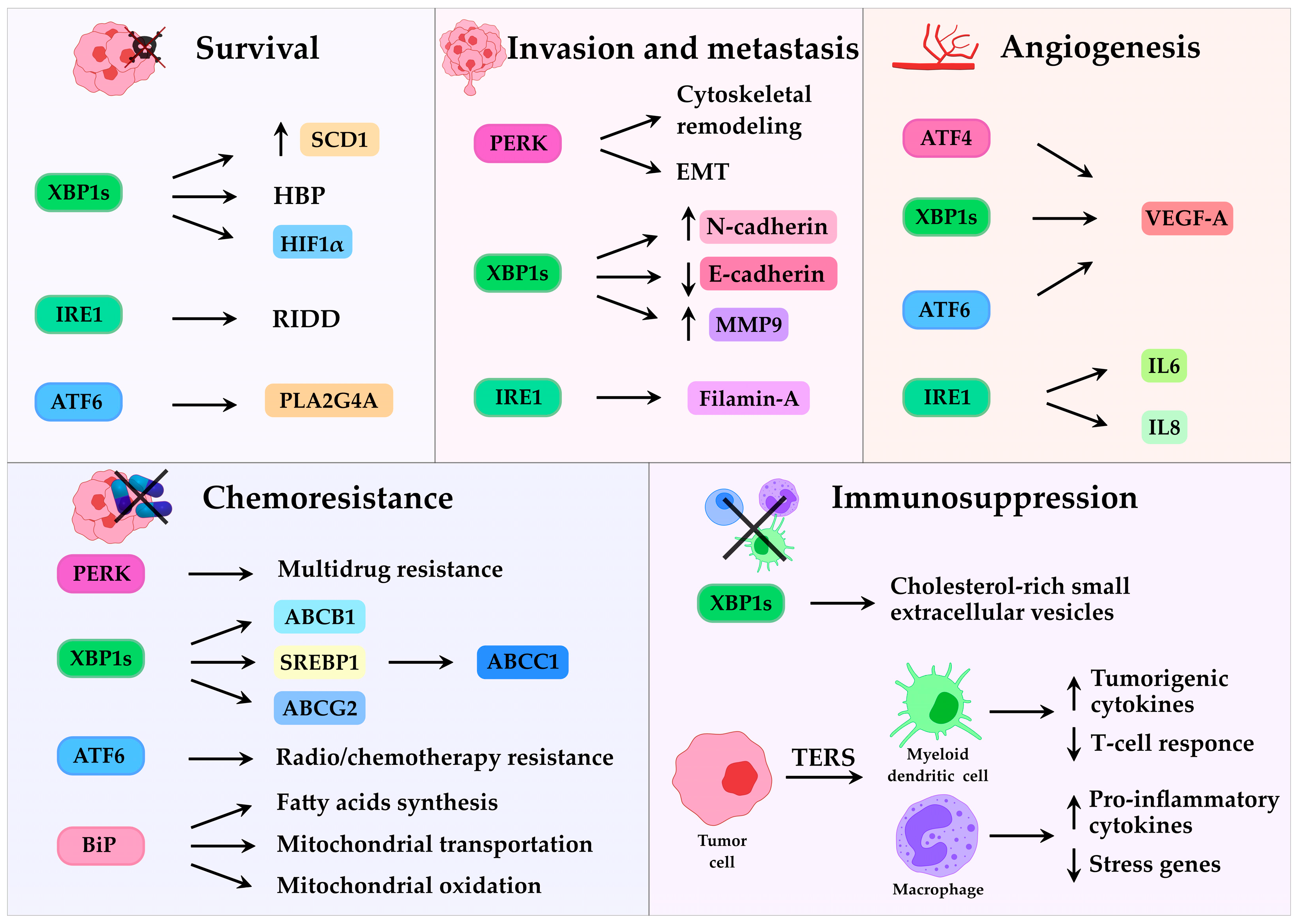Cancers 17 03489 g002