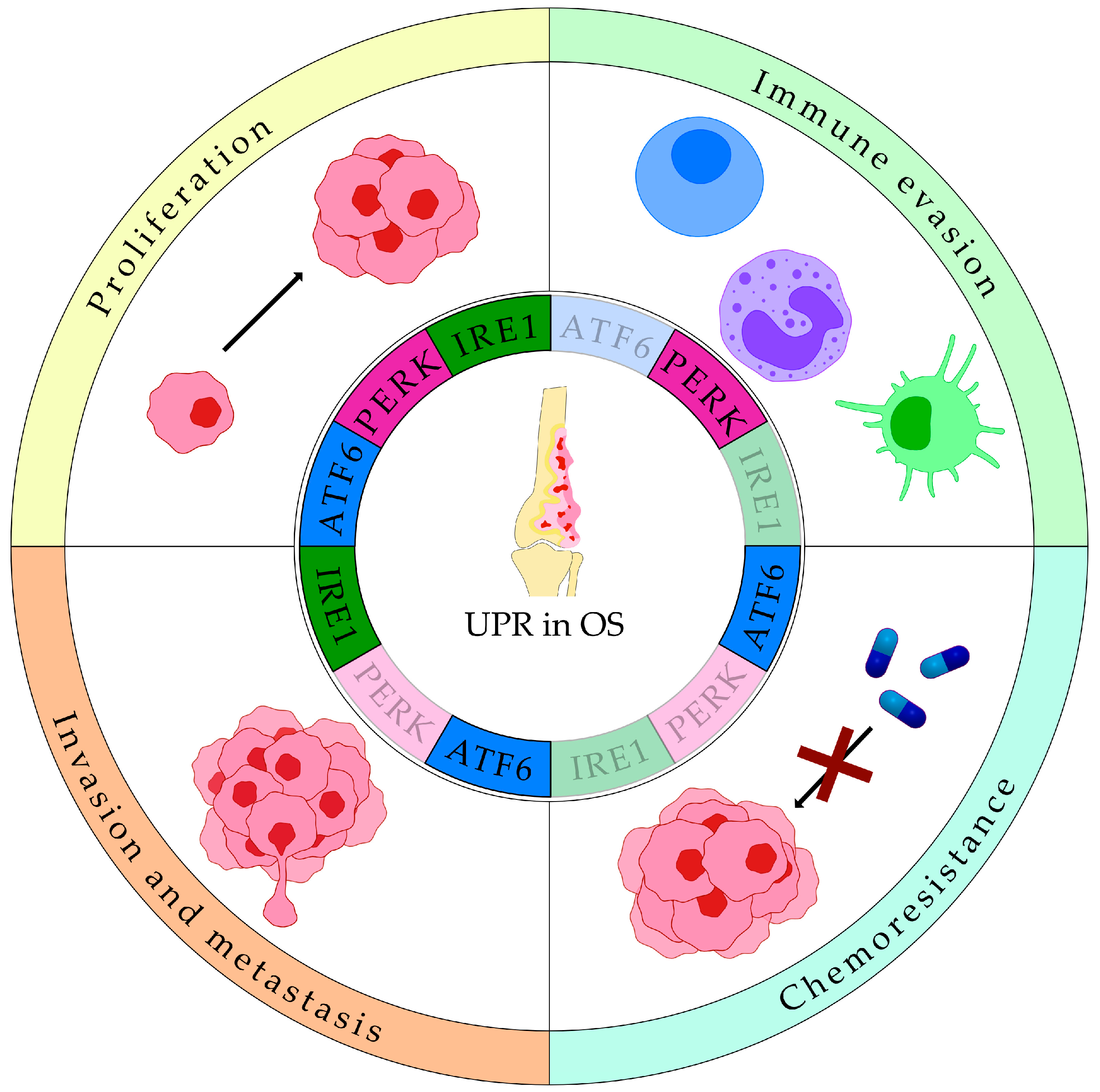 Cancers 17 03489 g003