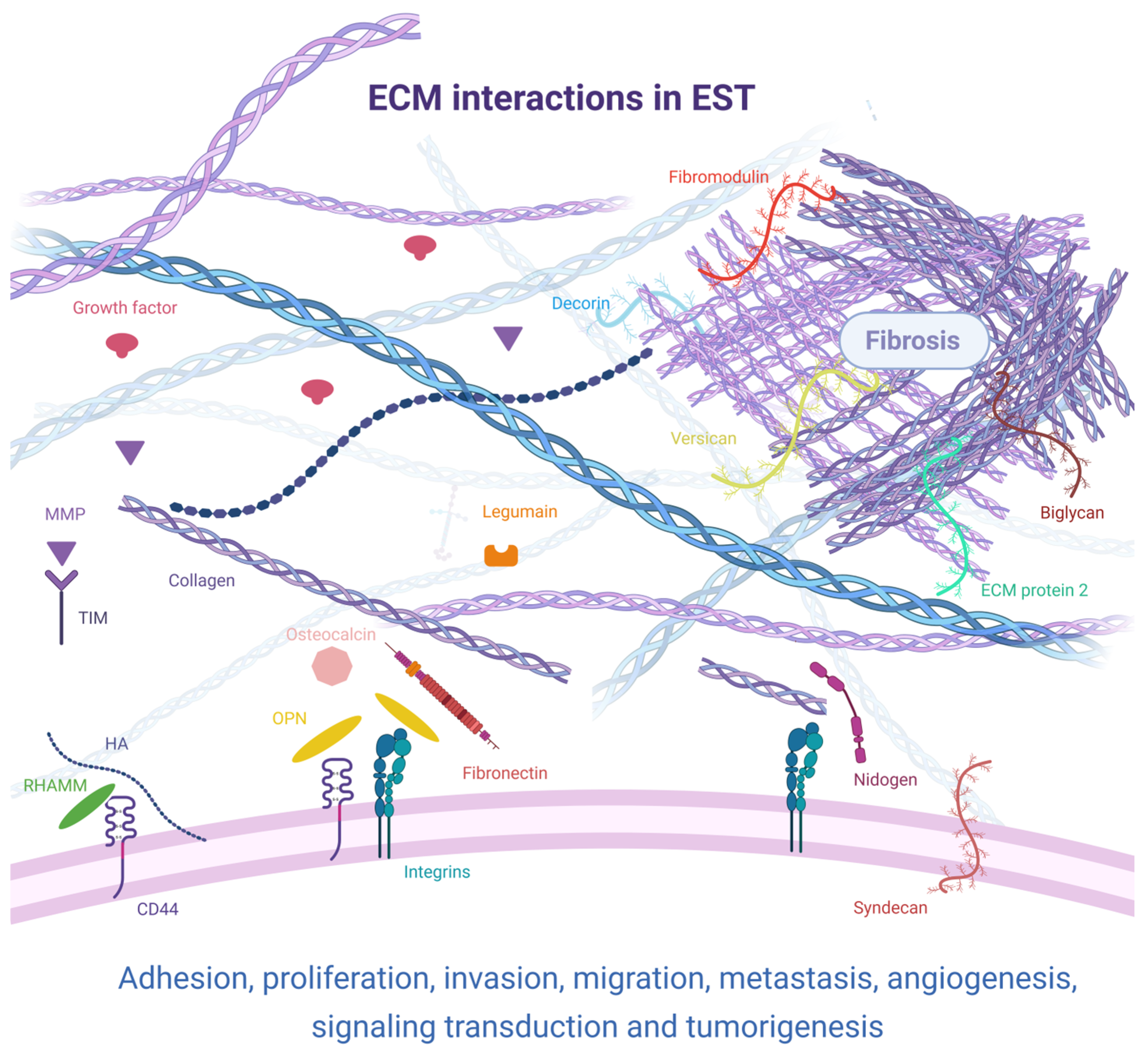 Cancers 17 03501 g001 Cancers 17 03501 g001