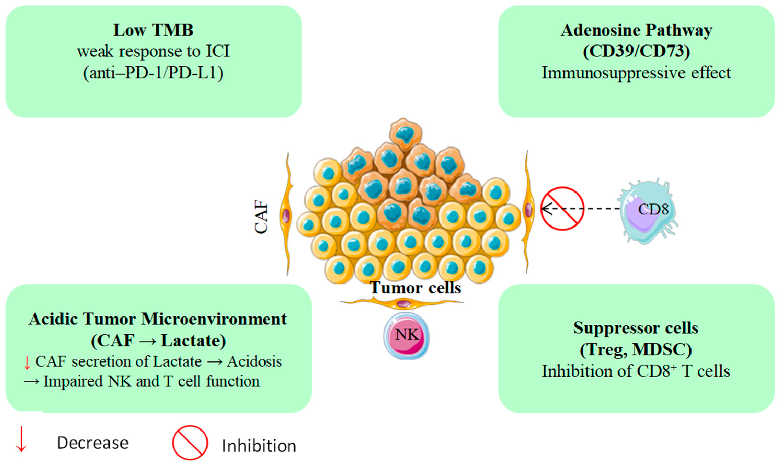 Cancers 17 03506 g001