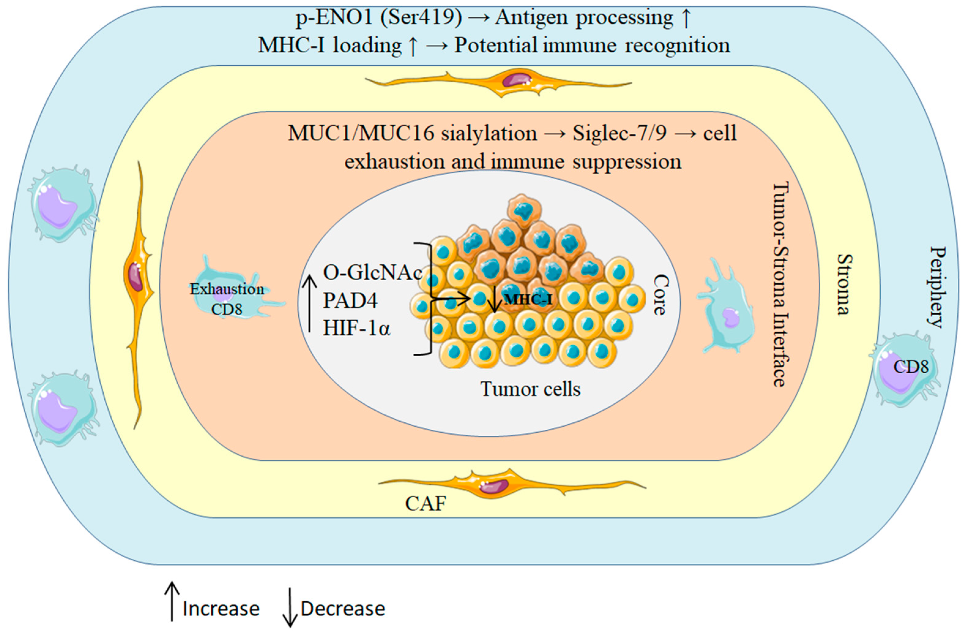 Cancers 17 03506 g002