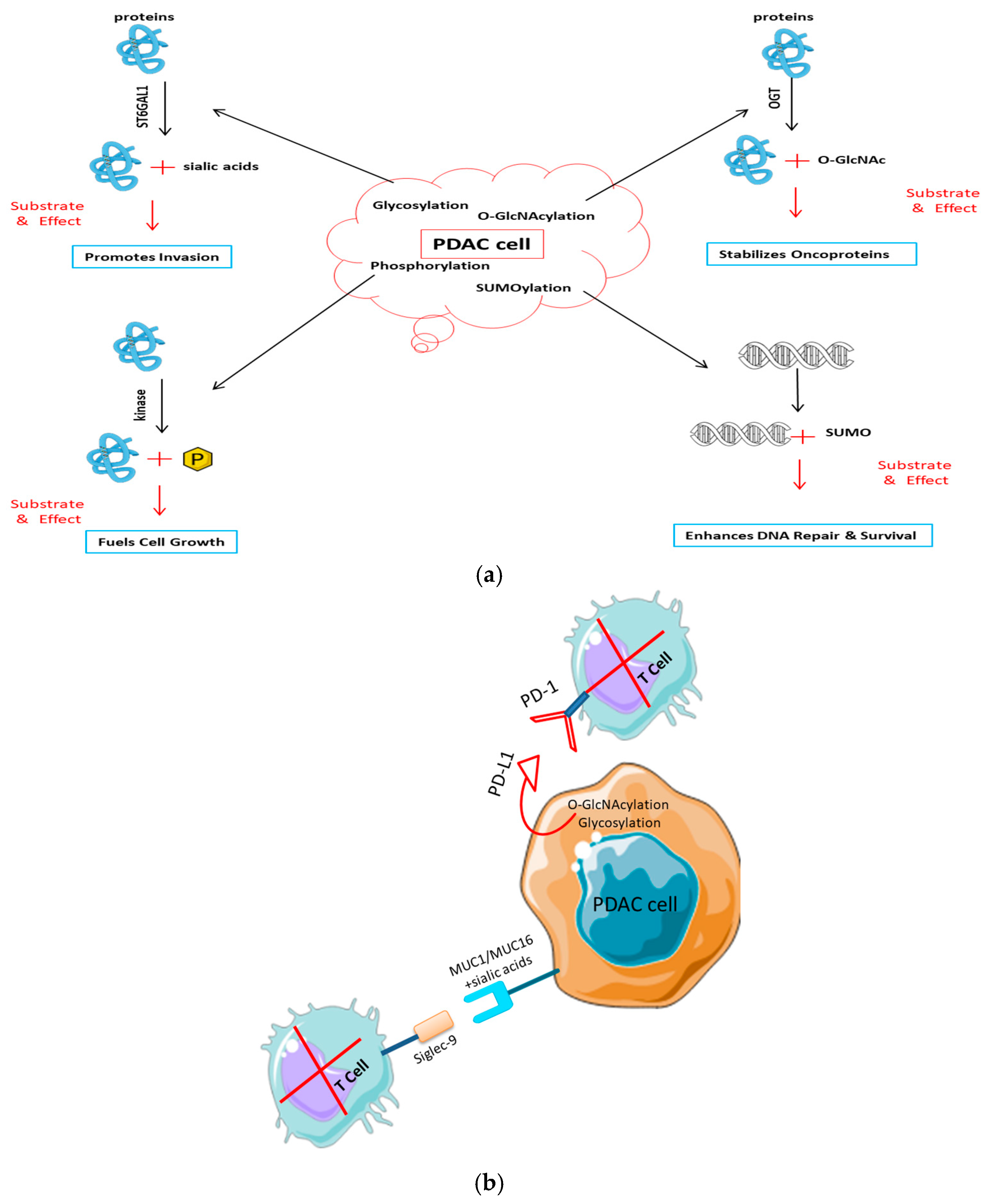 Cancers 17 03506 g003