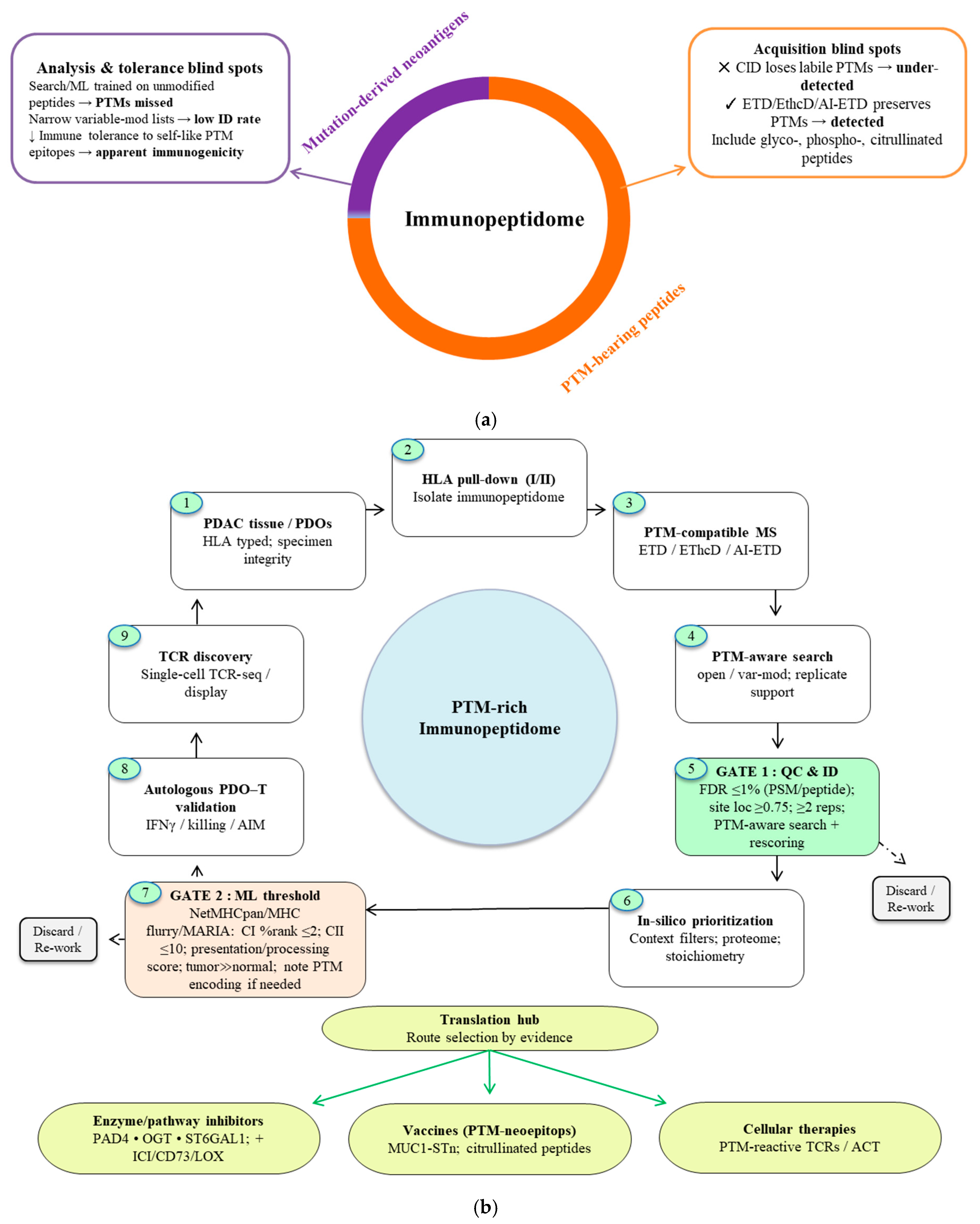 Cancers 17 03506 g004