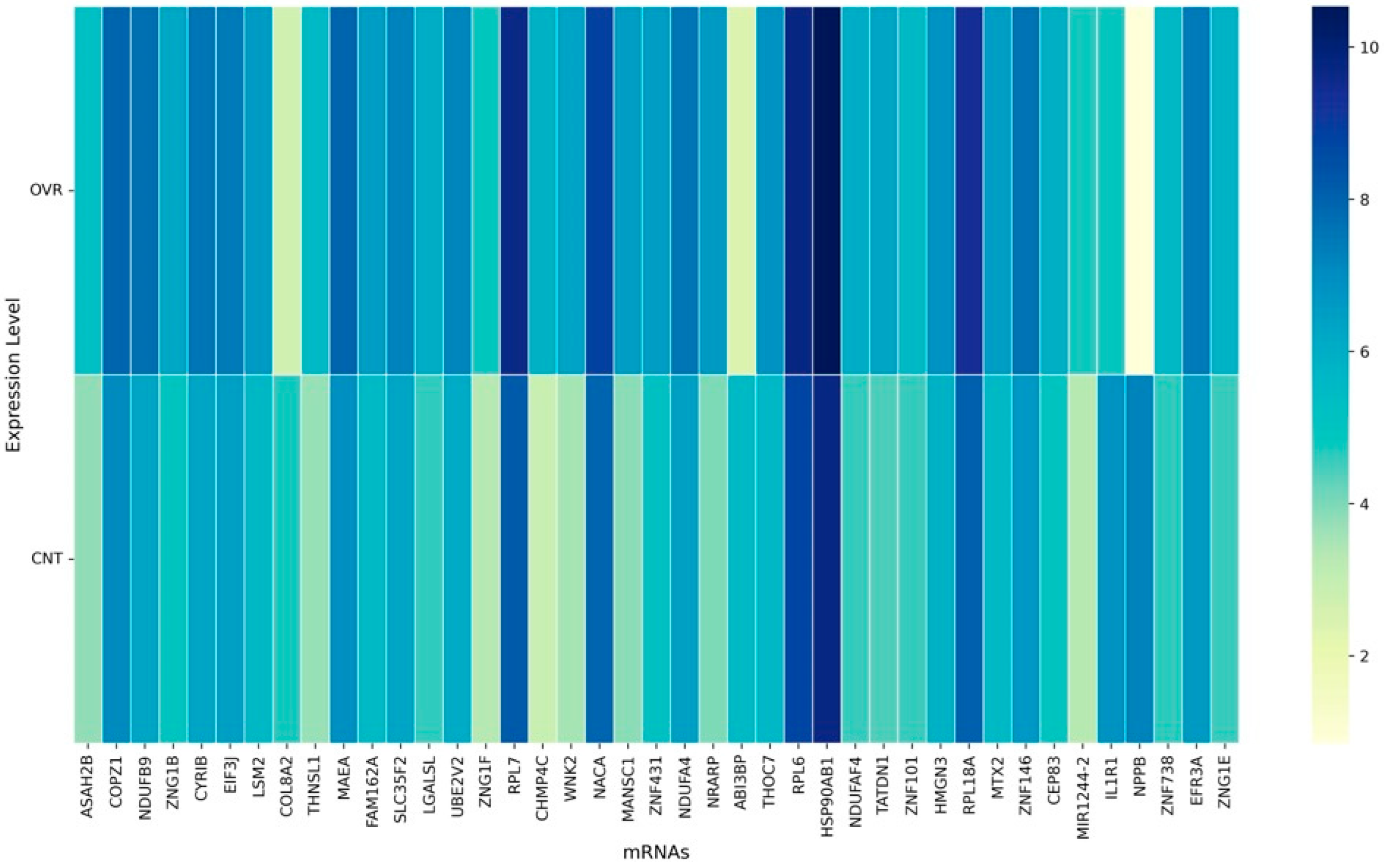 Cancers 17 03509 g004