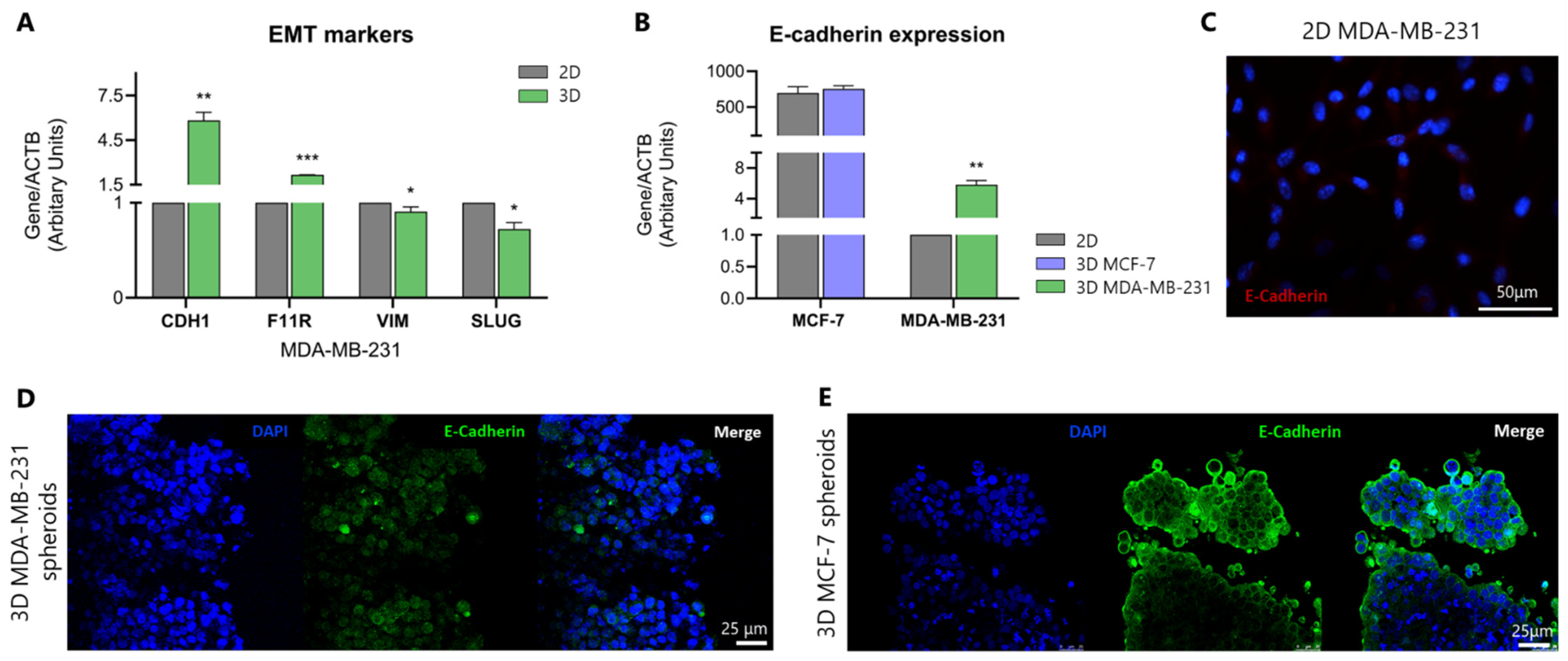 Cancers 17 03512 g002 Cancers 17 03512 g002