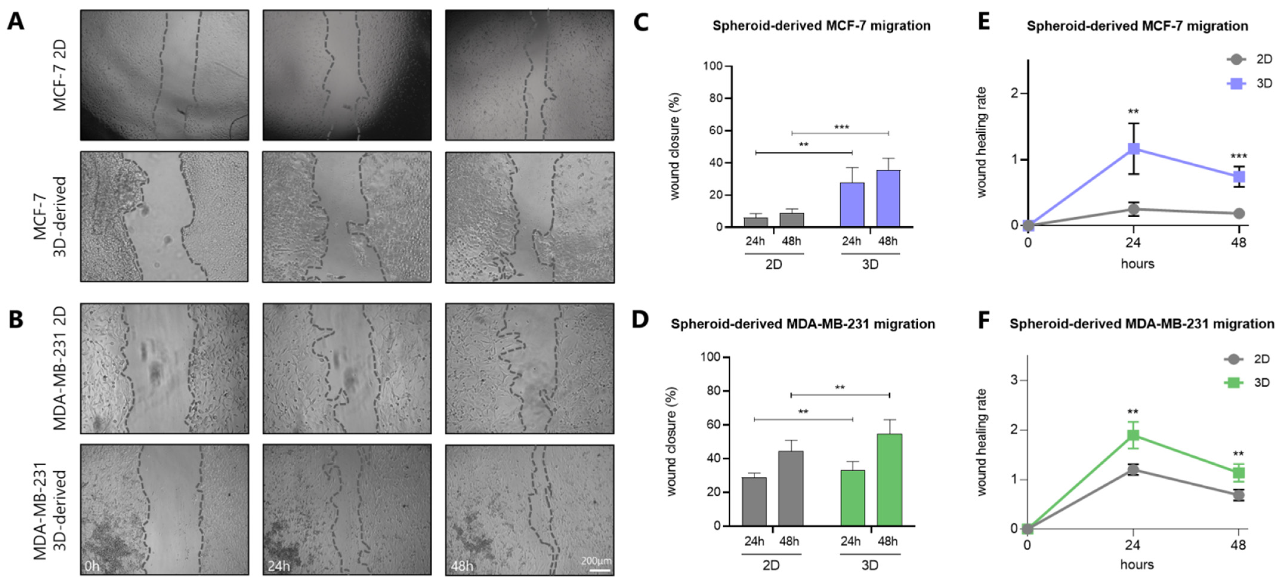 Cancers 17 03512 g006 Cancers 17 03512 g006