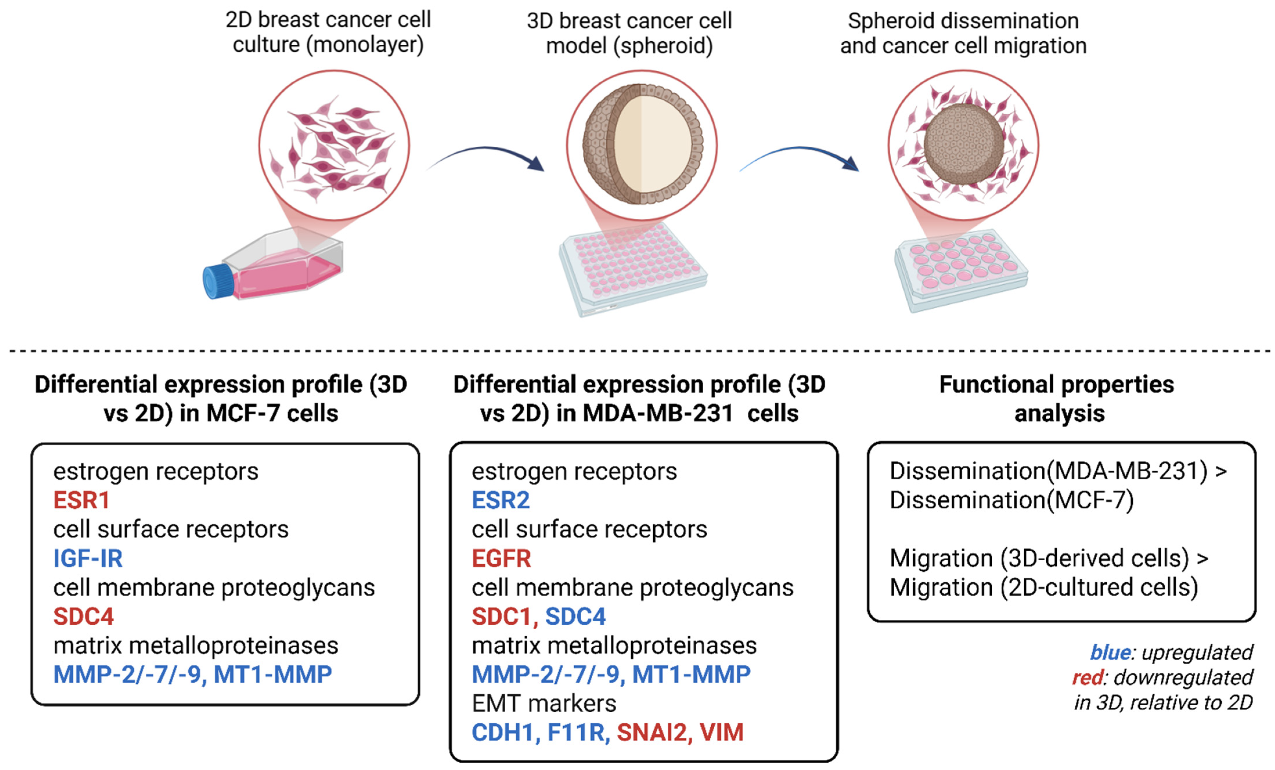 Cancers 17 03512 g007 Cancers 17 03512 g007