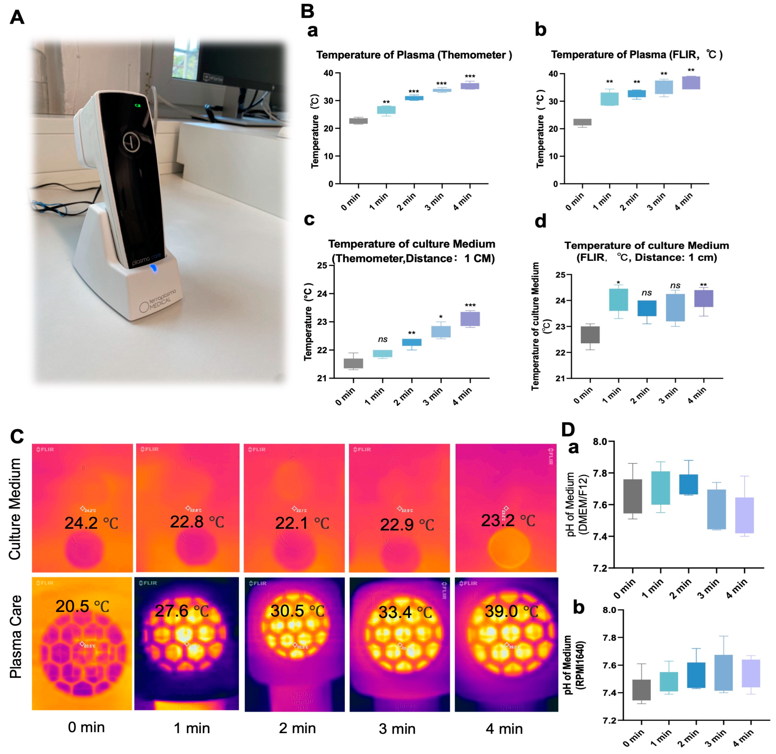 Cancers 17 03517 g001