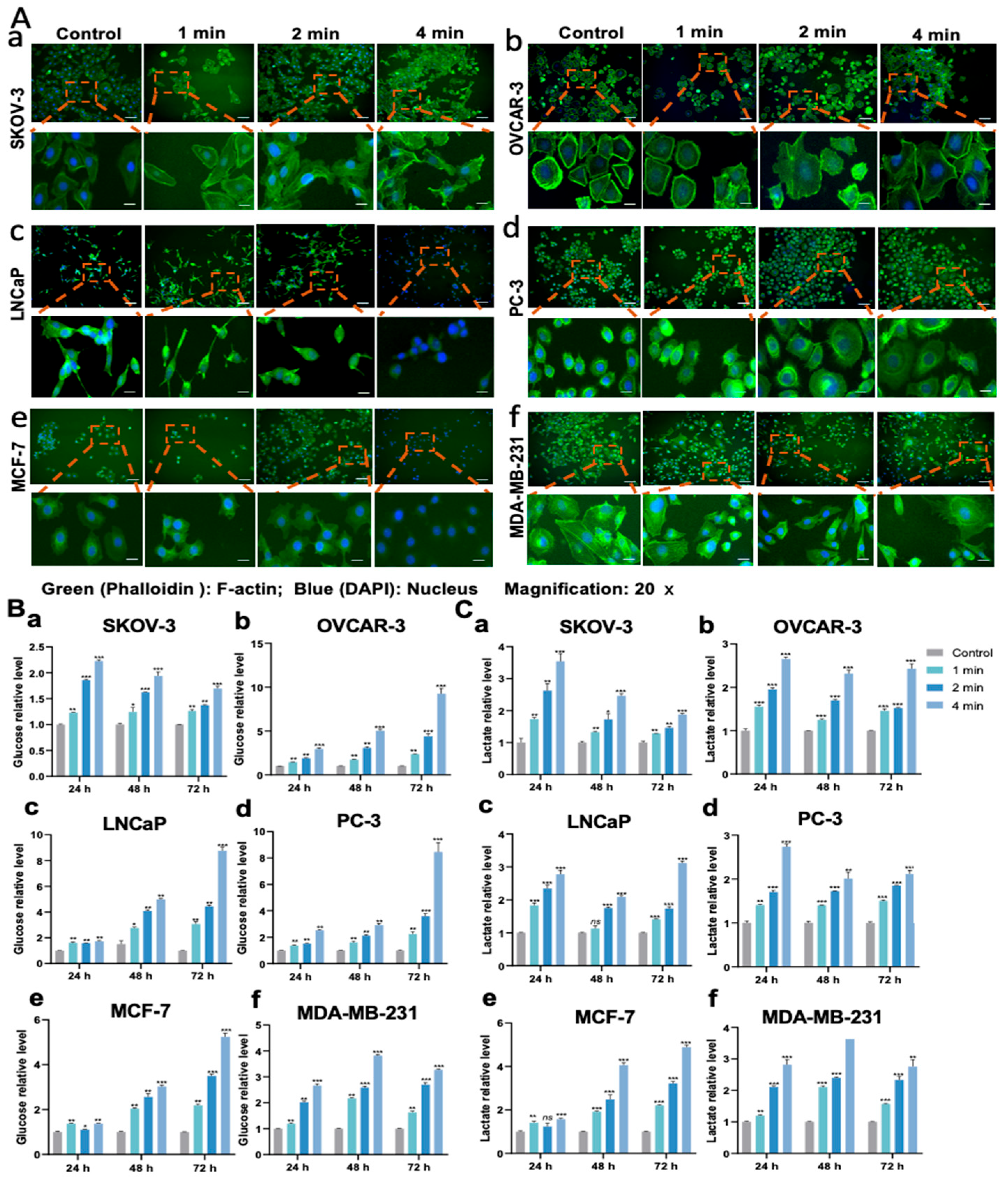 Cancers 17 03517 g004