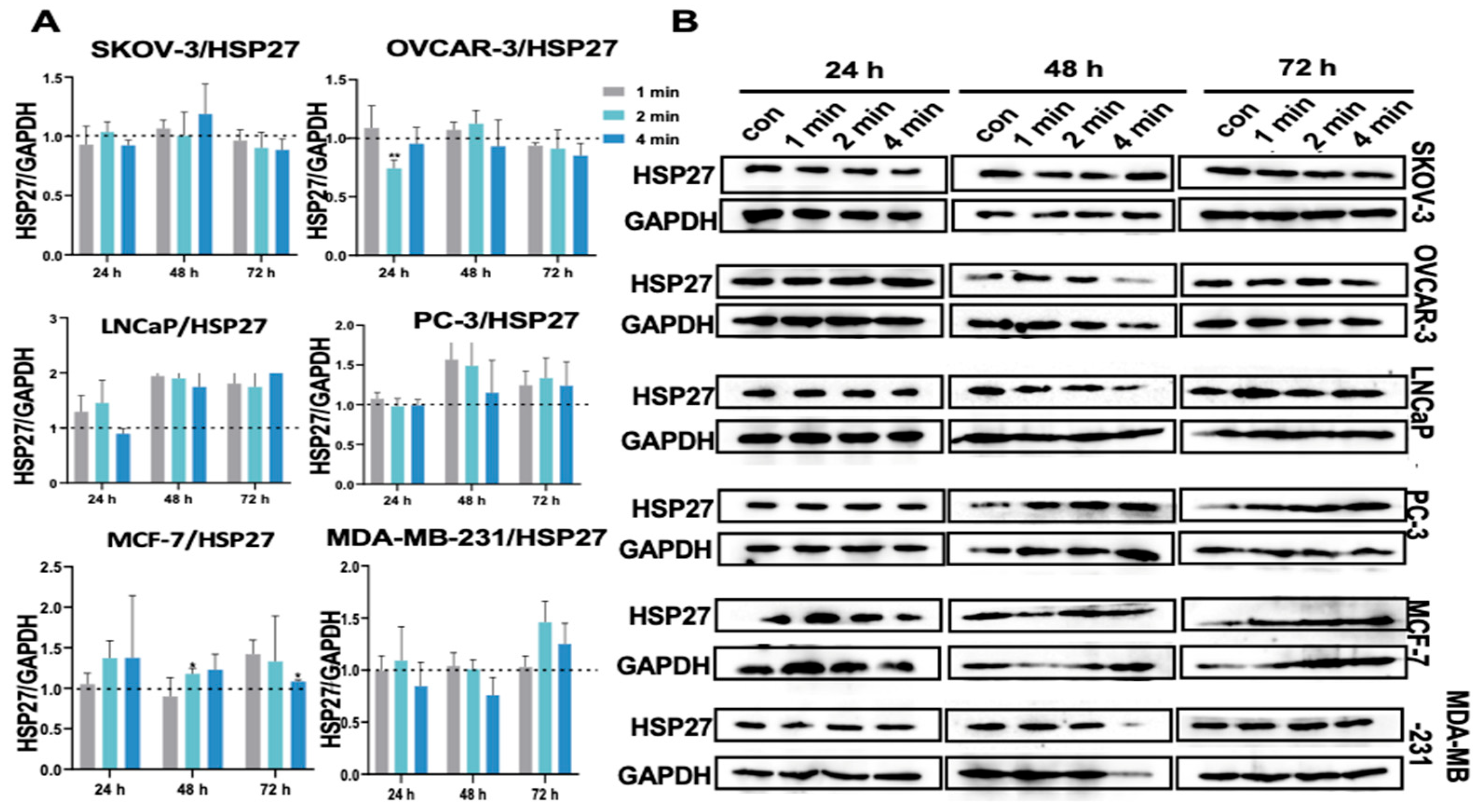 Cancers 17 03517 g006