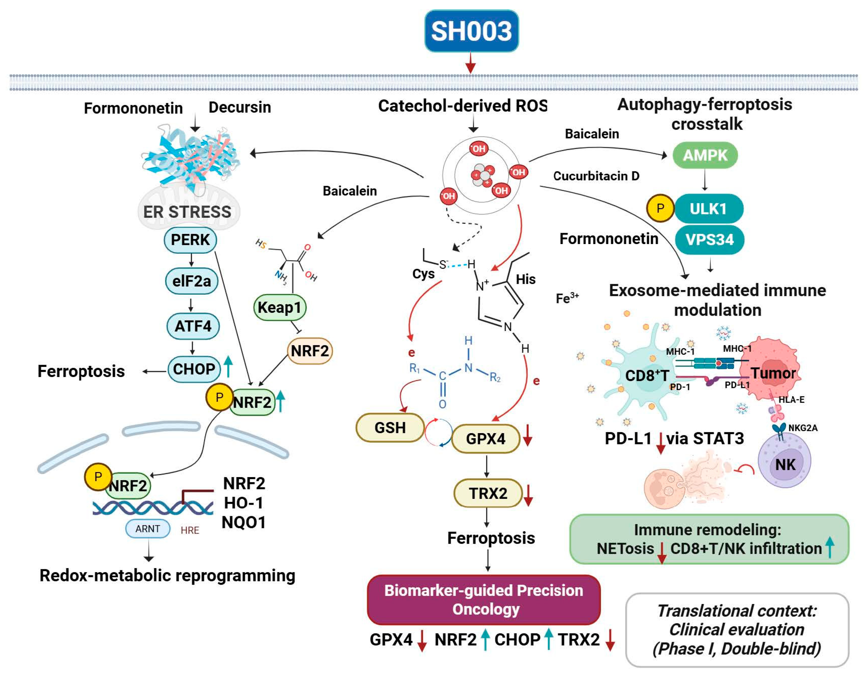 Cancers 17 03519 g002 Cancers 17 03519 g002