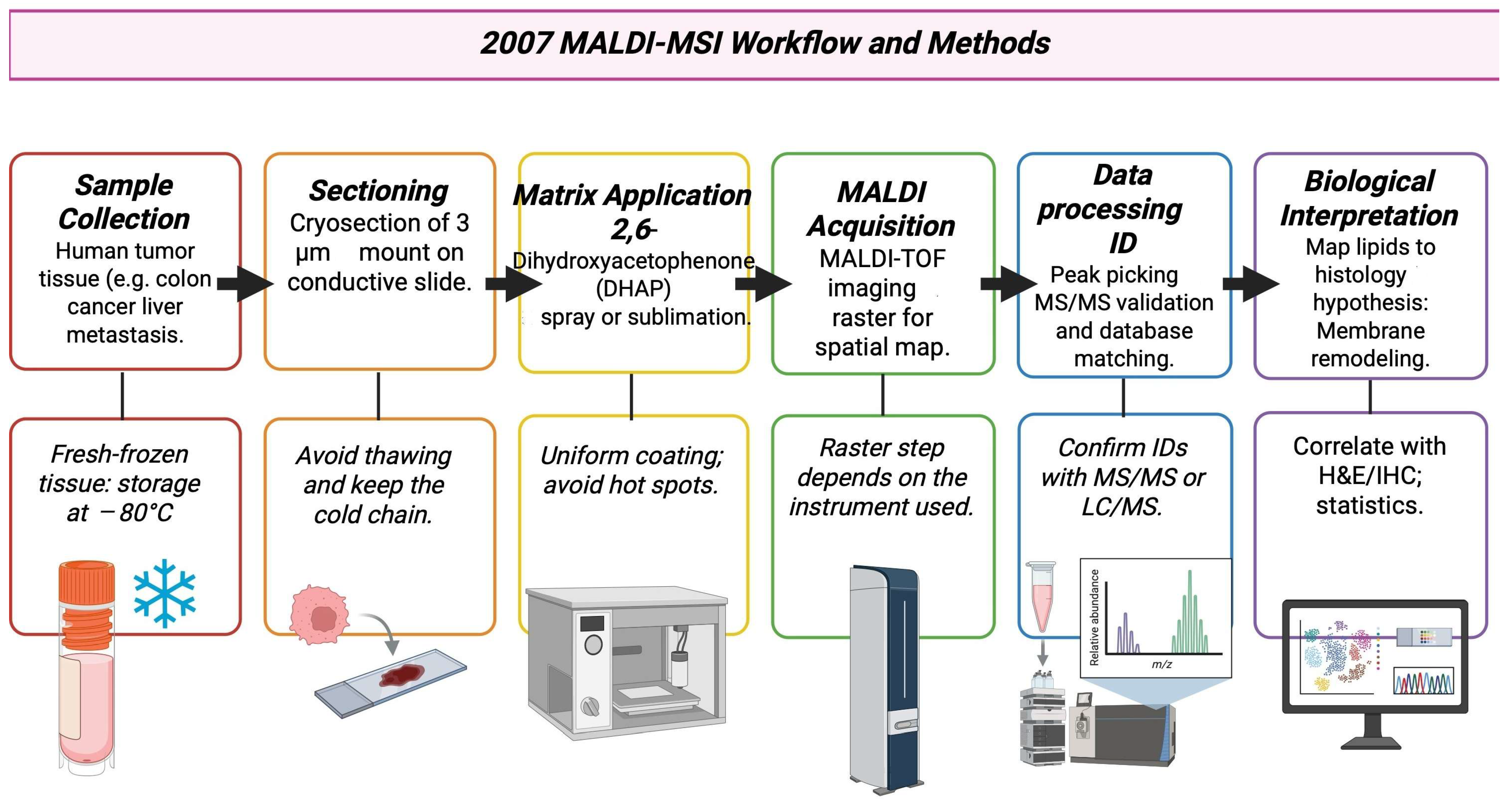 Cancers 17 03524 g009 Cancers 17 03524 g009