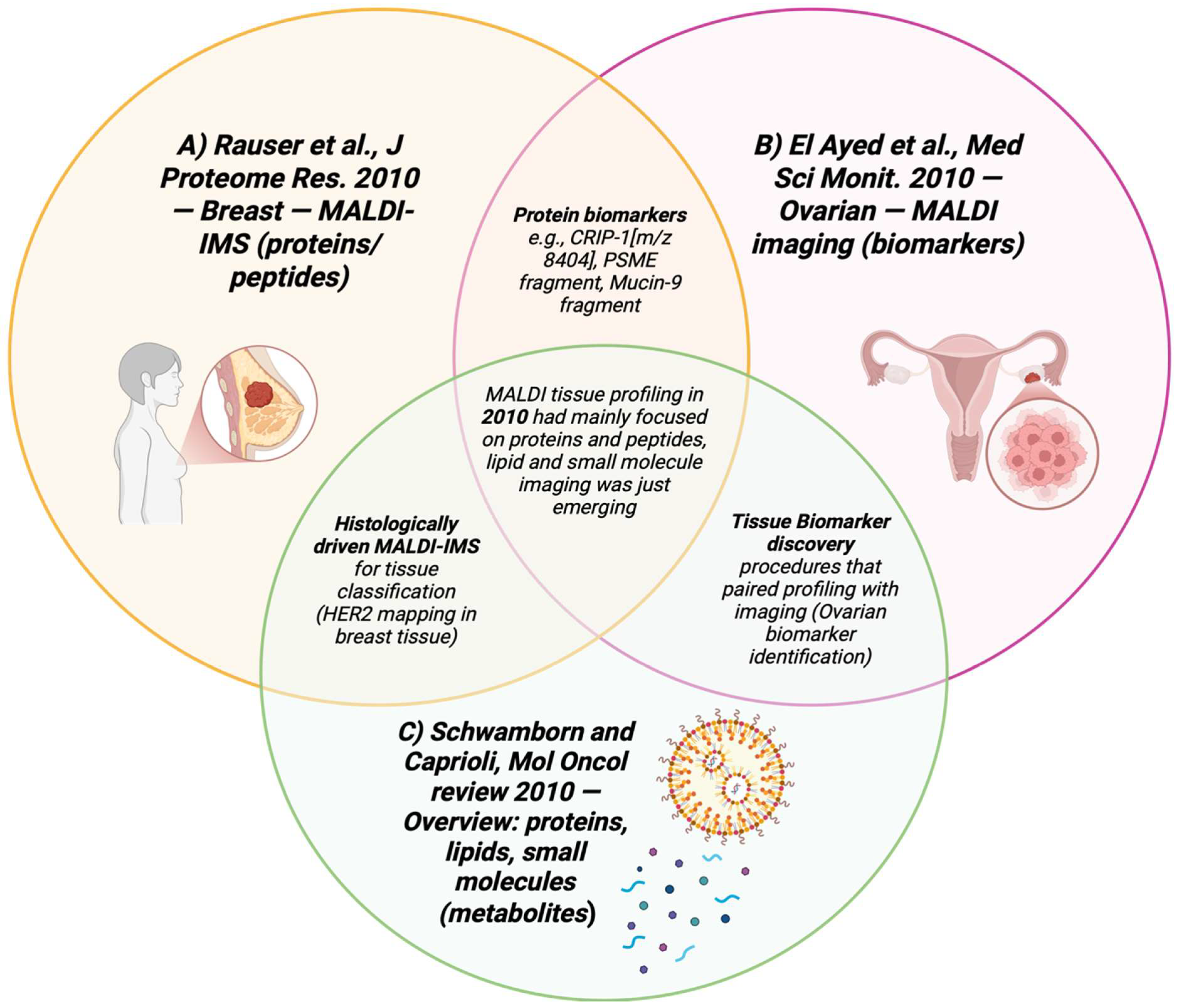 Cancers 17 03524 g012 Cancers 17 03524 g012