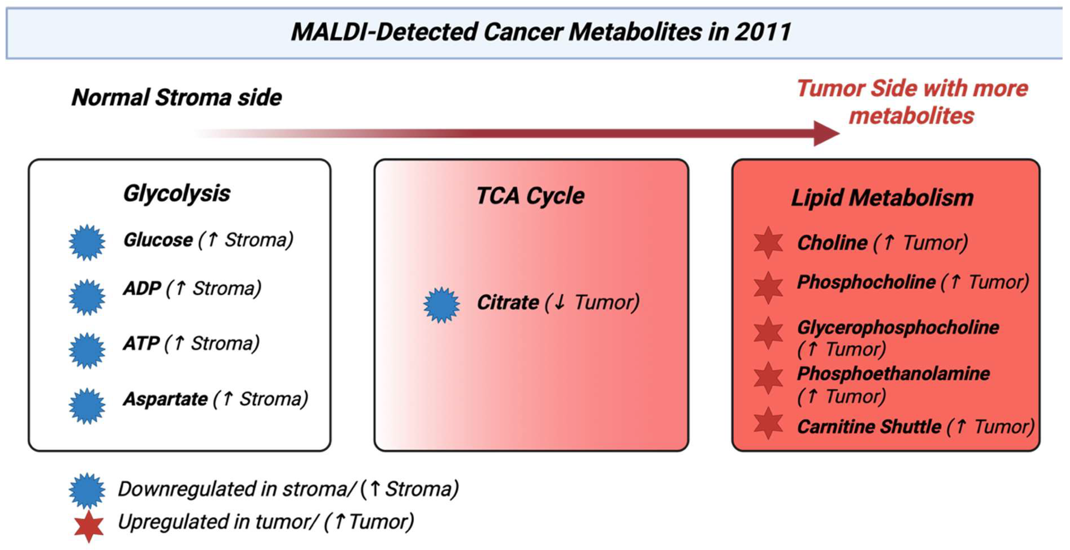 Cancers 17 03524 g013 Cancers 17 03524 g013