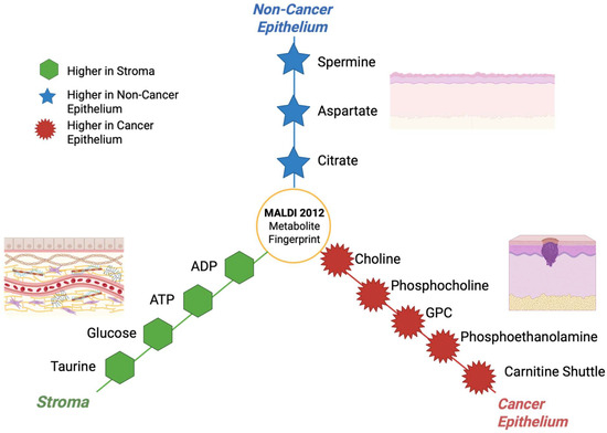 Cancers 17 03524 g014