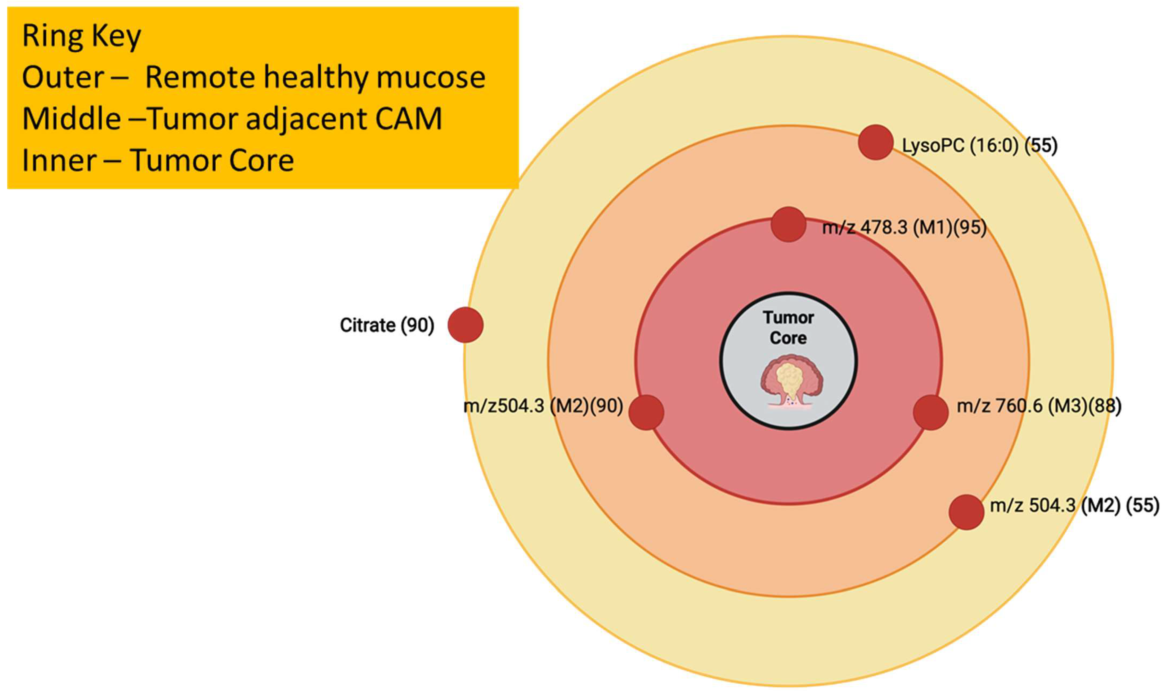 Cancers 17 03524 g016 Cancers 17 03524 g016