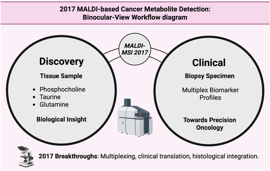 Cancers 17 03524 g019