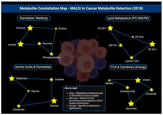 Cancers 17 03524 g020