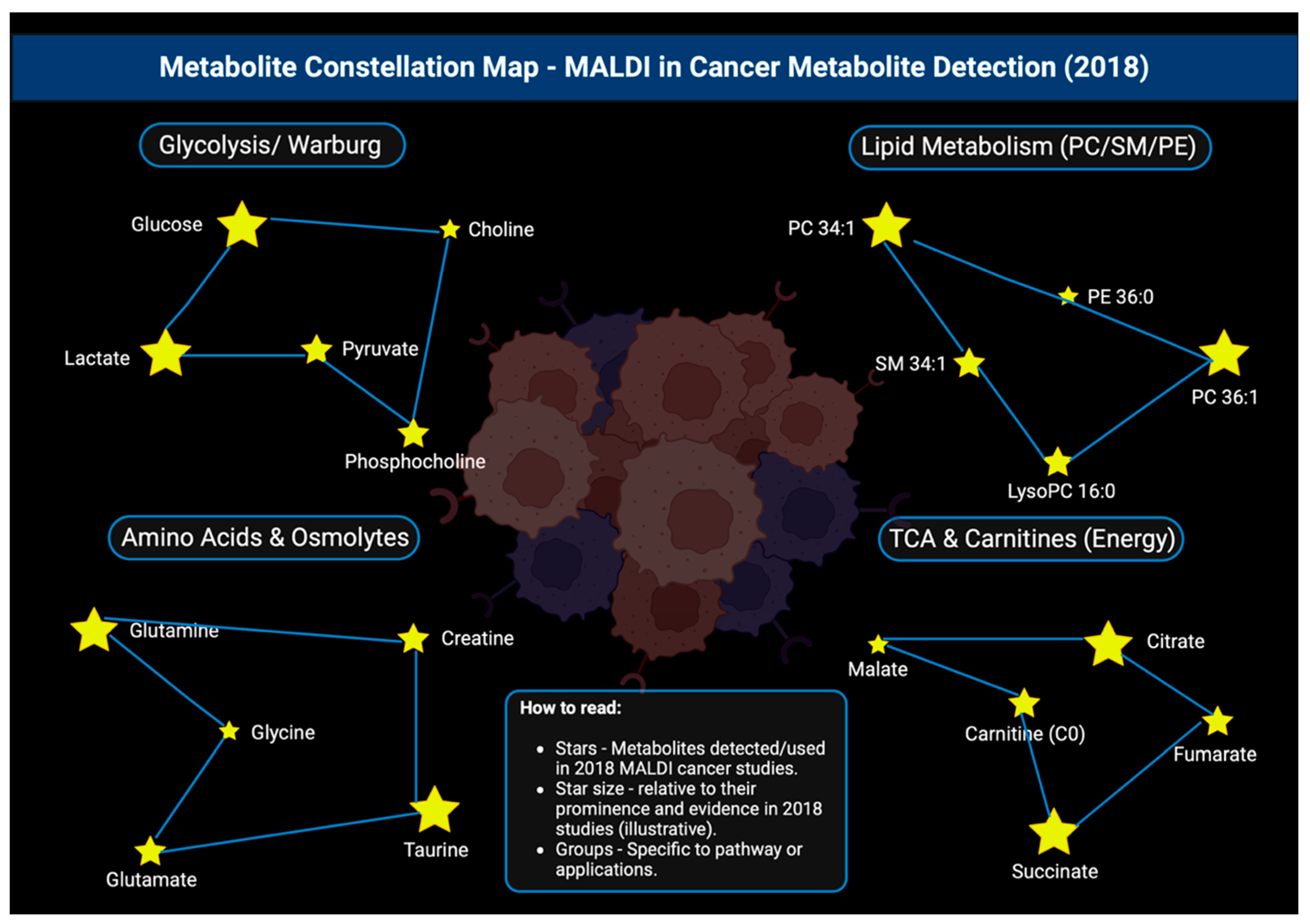 Cancers 17 03524 g020 Cancers 17 03524 g020