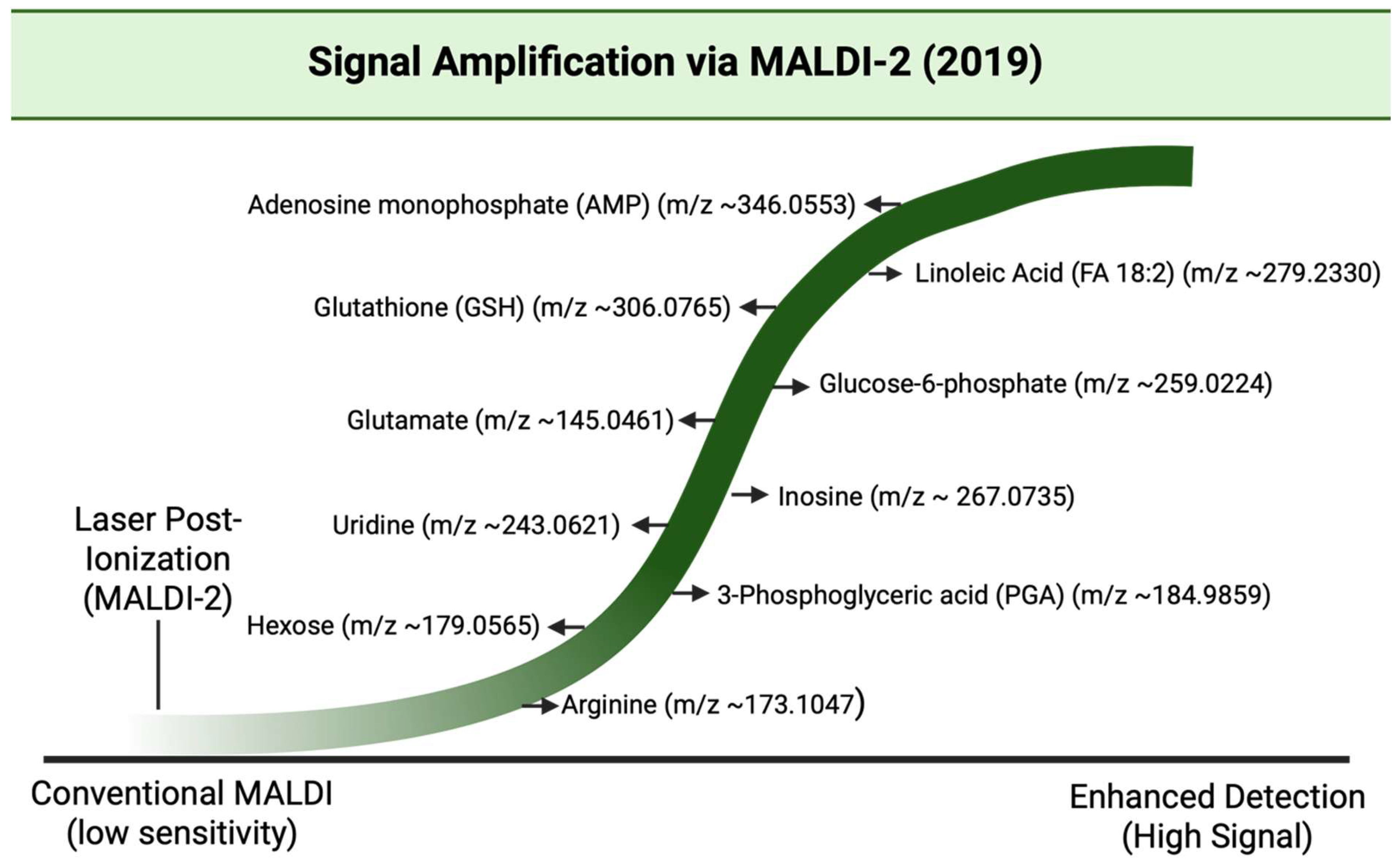 Cancers 17 03524 g021 Cancers 17 03524 g021