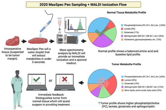 Cancers 17 03524 g022