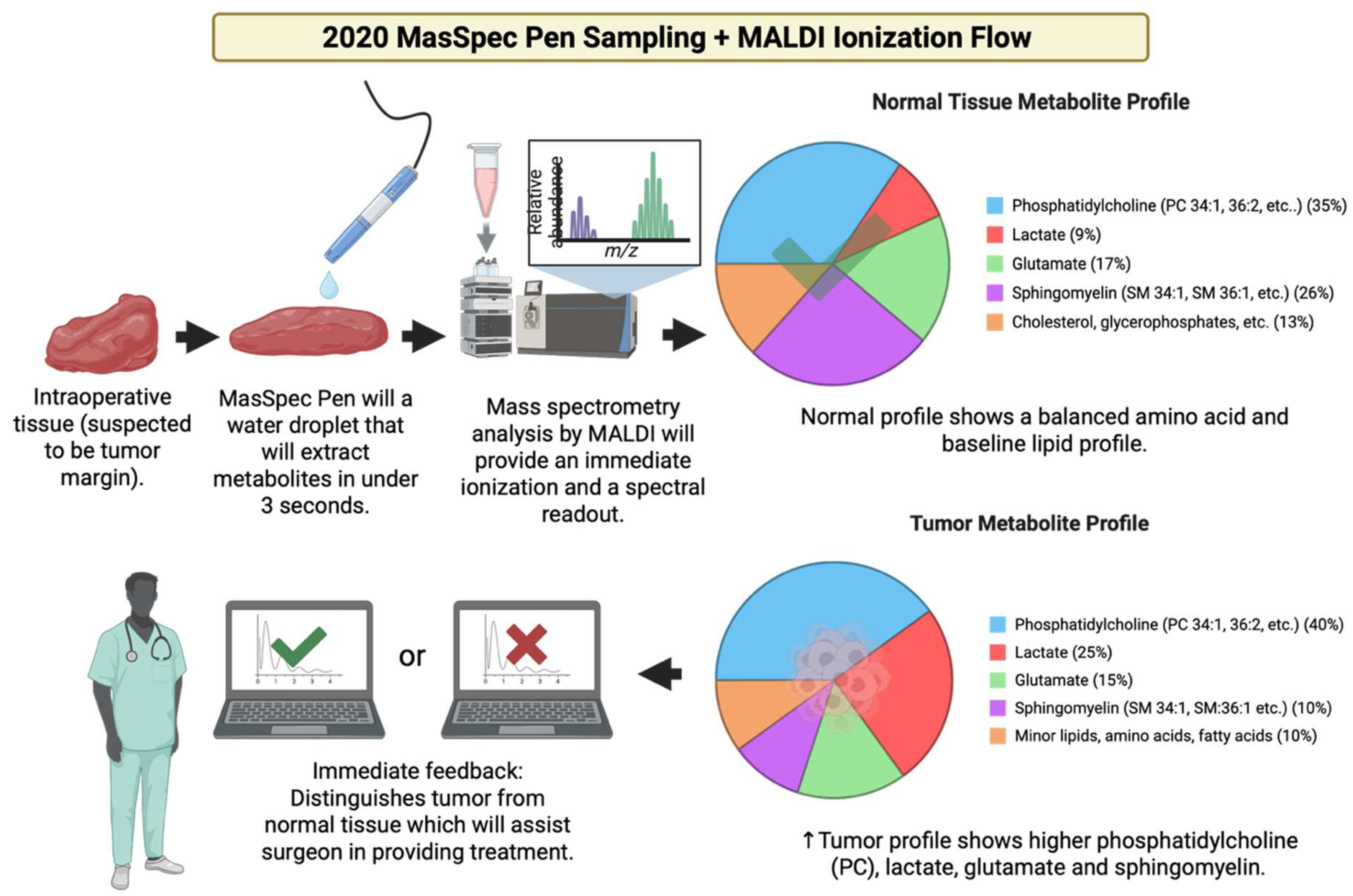 Cancers 17 03524 g022 Cancers 17 03524 g022