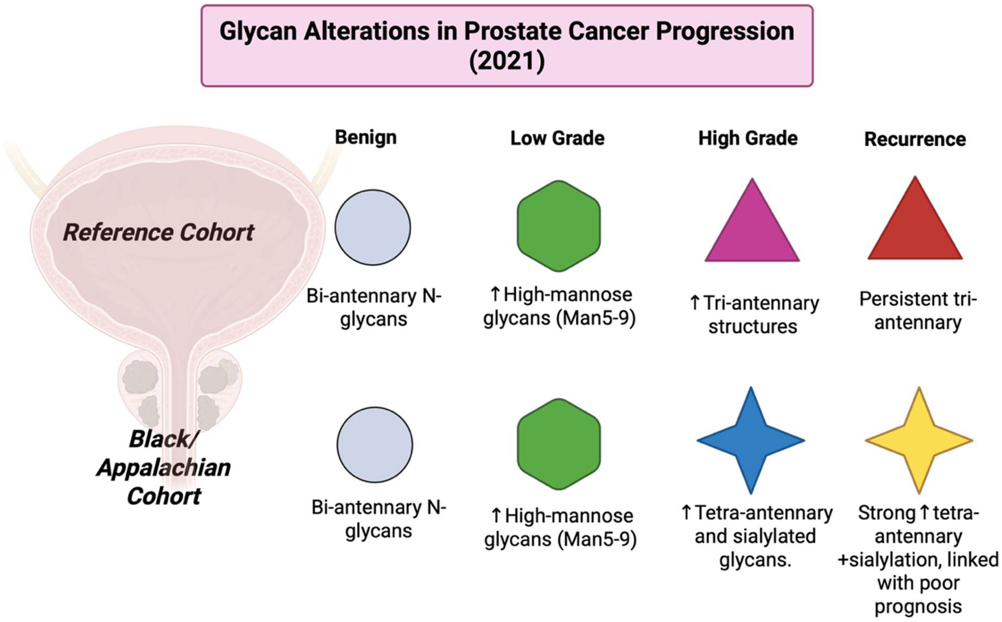 Cancers 17 03524 g023 Cancers 17 03524 g023