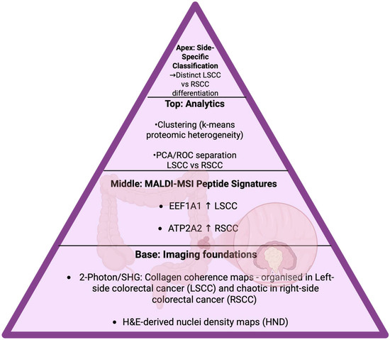 Cancers 17 03524 g026