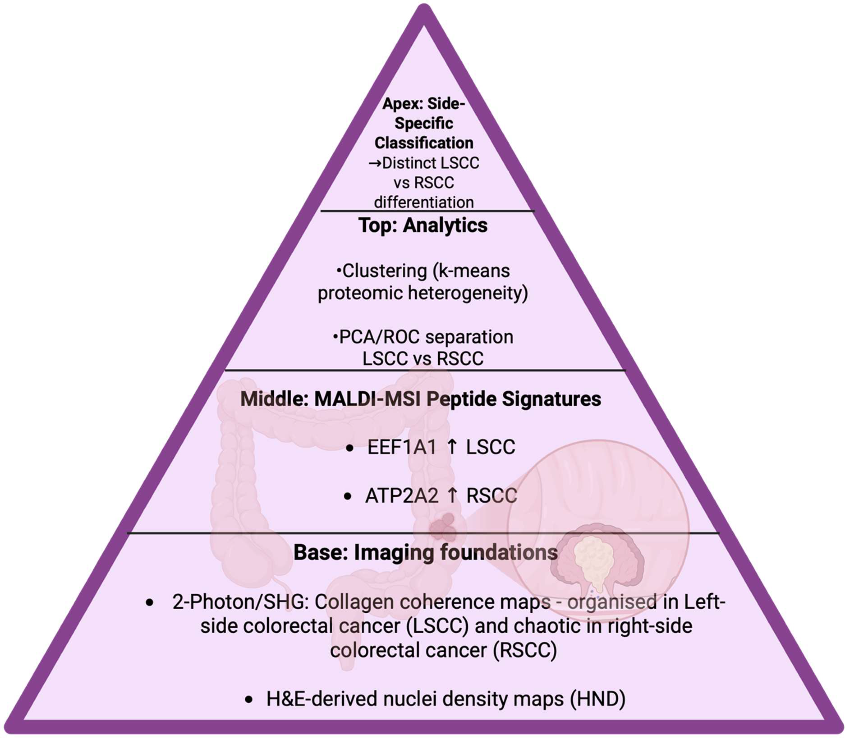 Cancers 17 03524 g026 Cancers 17 03524 g026