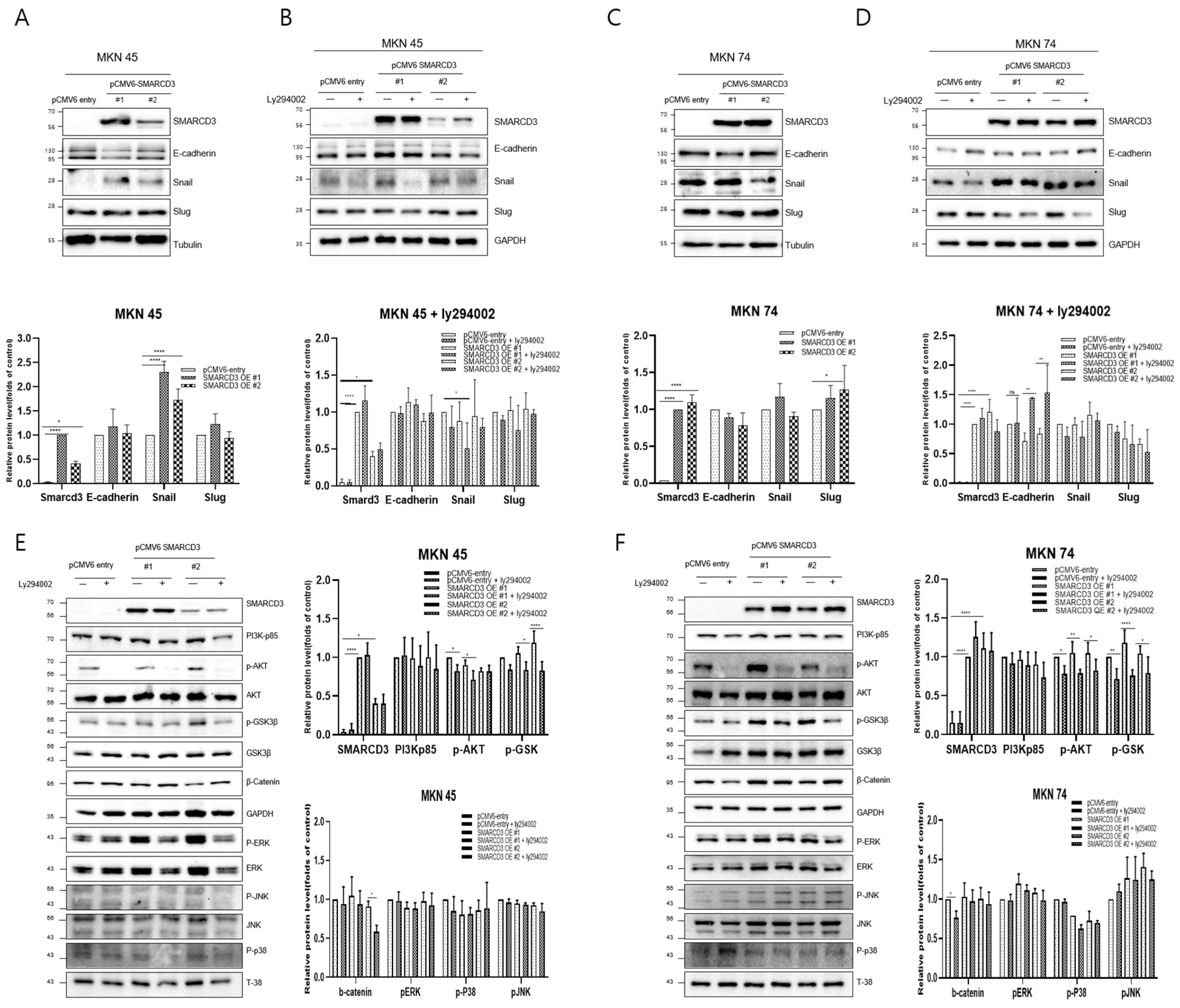 Cancers 17 03526 g002 Cancers 17 03526 g002