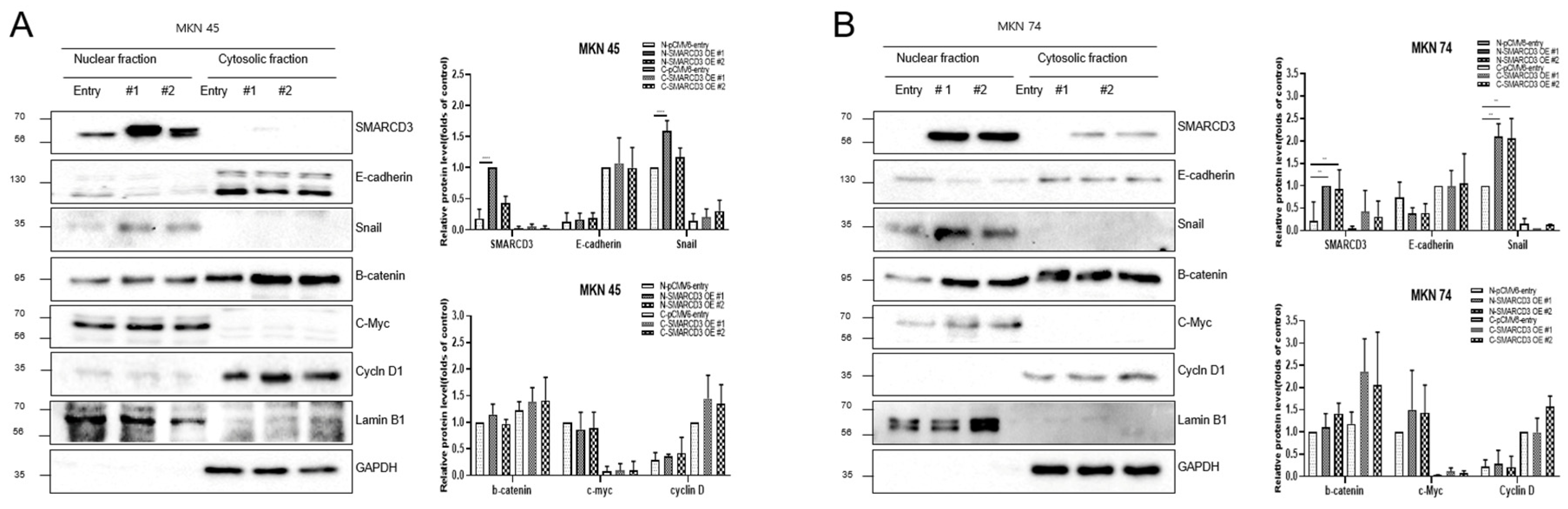 Cancers 17 03526 g005 Cancers 17 03526 g005