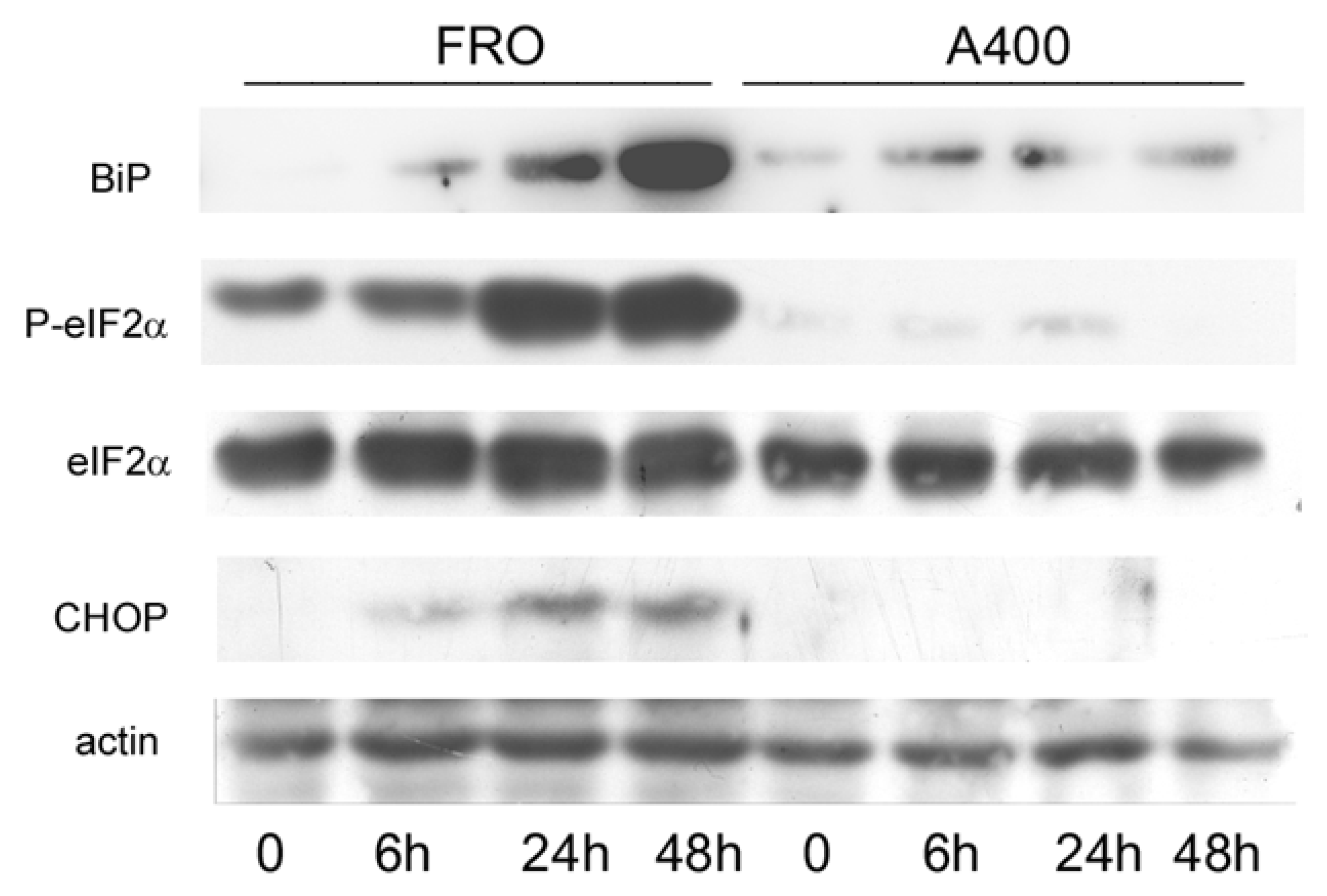 Cancers 17 03534 g003