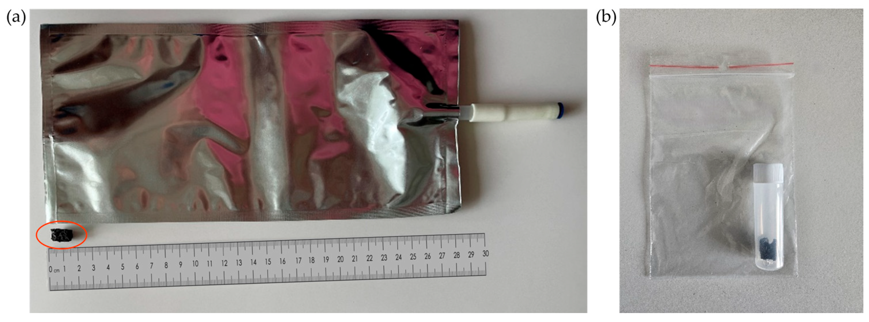 Cancers 17 03536 g001 Cancers 17 03536 g001