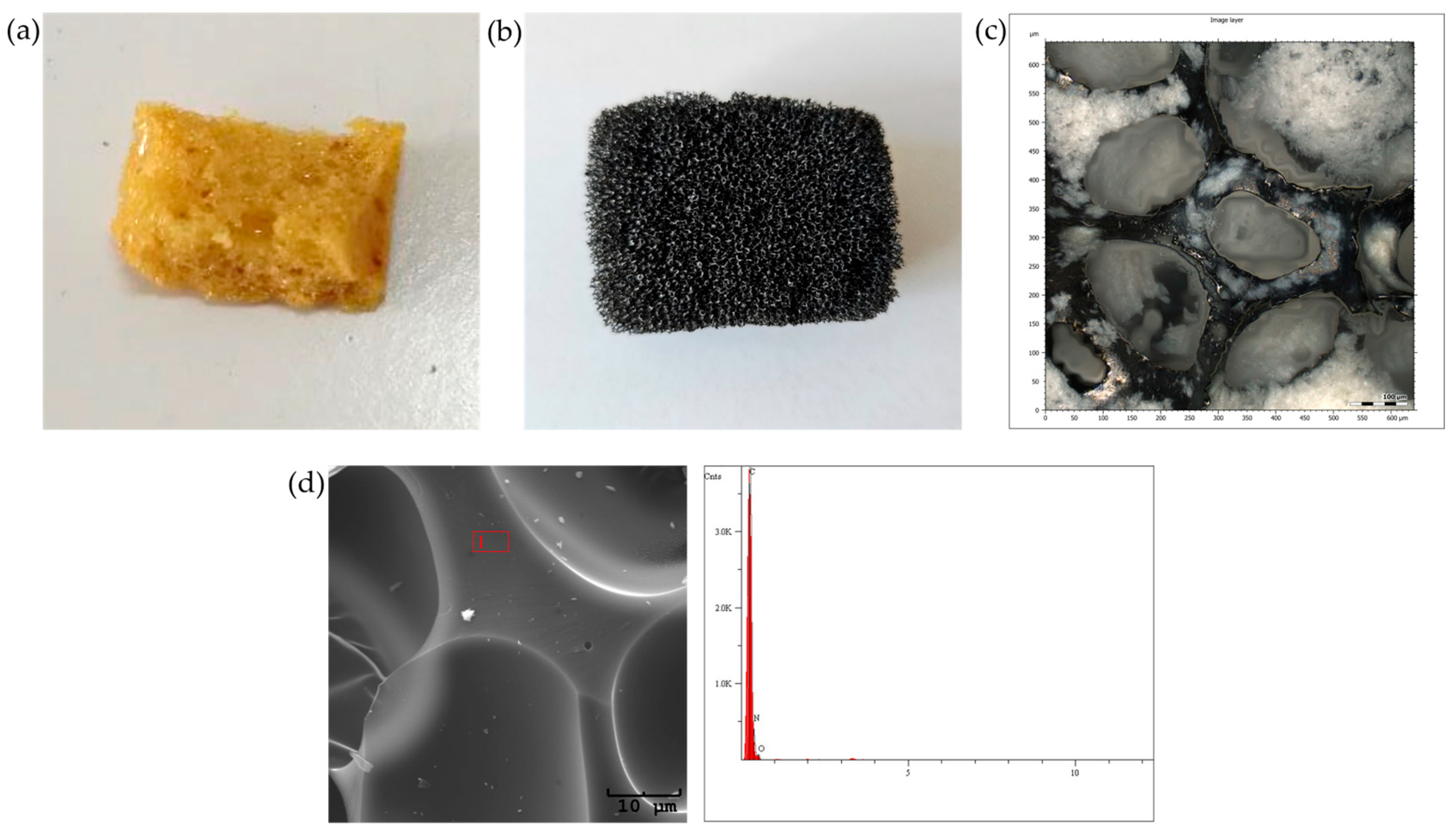 Cancers 17 03536 g002 Cancers 17 03536 g002