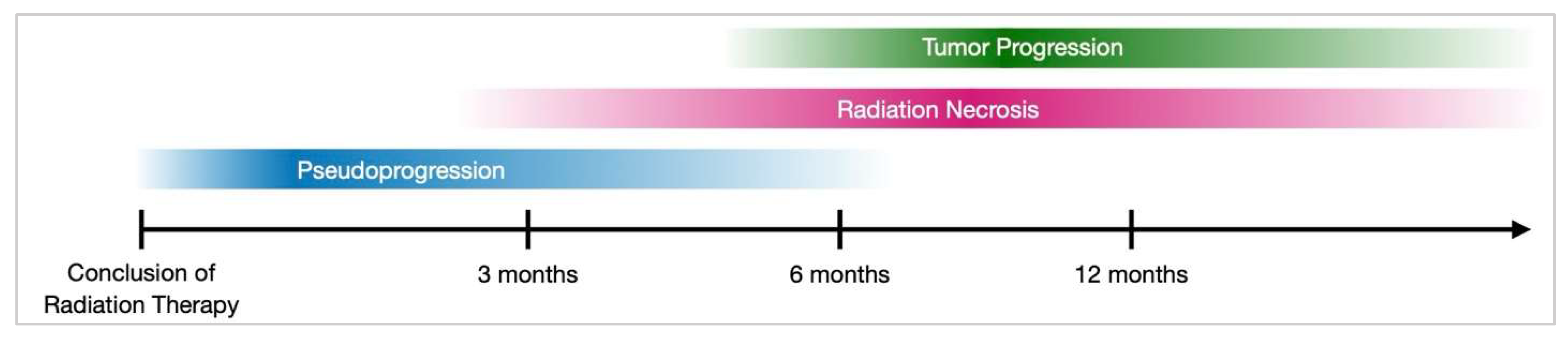 Cancers 17 03542 g003