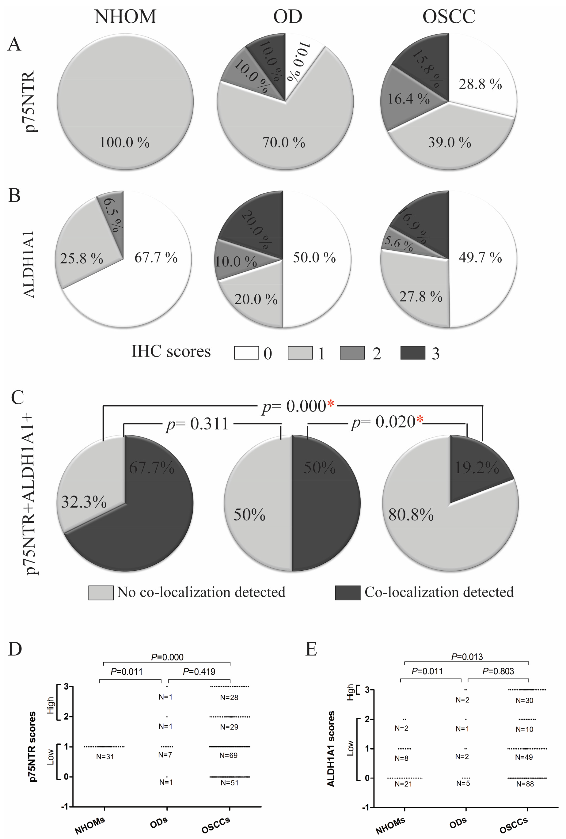 Cancers 17 03547 g001 Cancers 17 03547 g001
