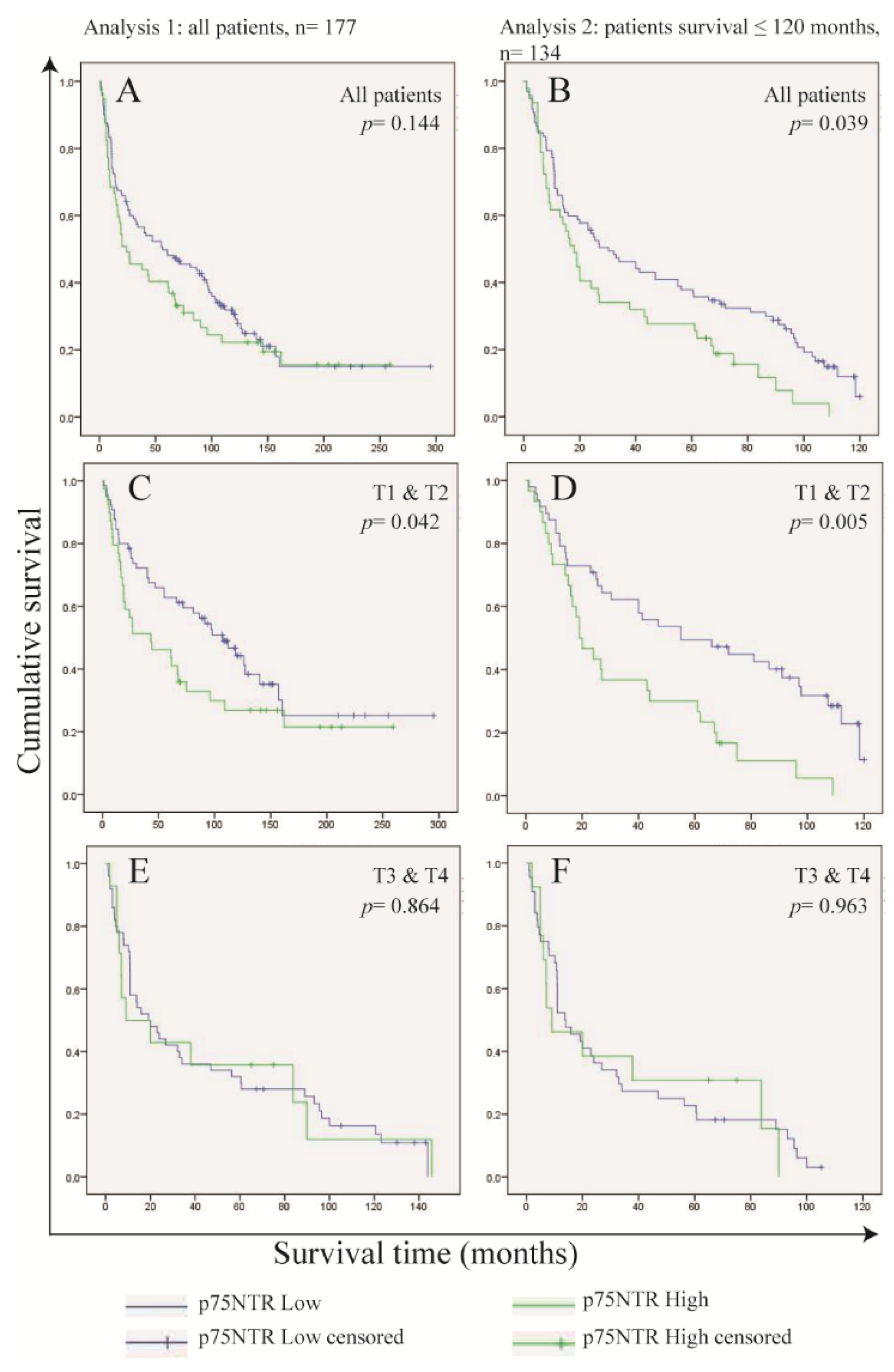 Cancers 17 03547 g003 Cancers 17 03547 g003