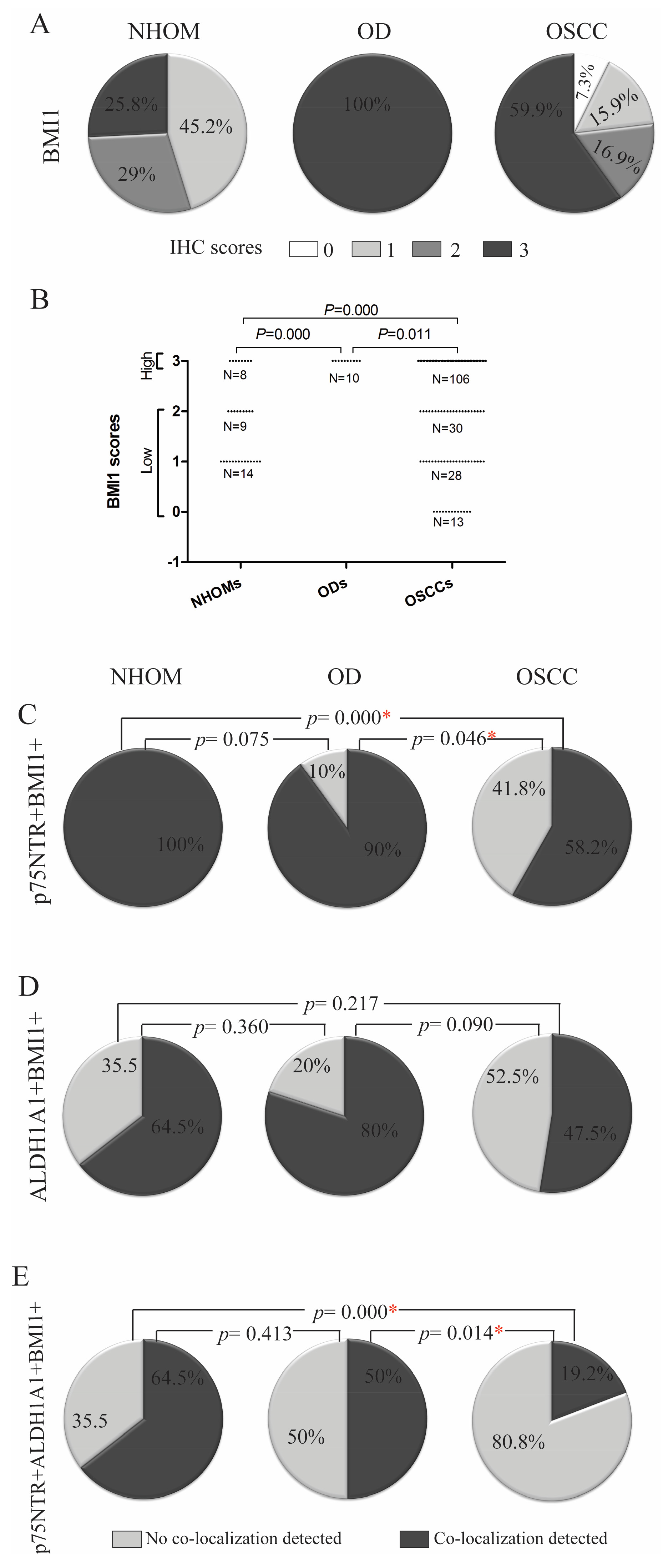 Cancers 17 03547 g004 Cancers 17 03547 g004