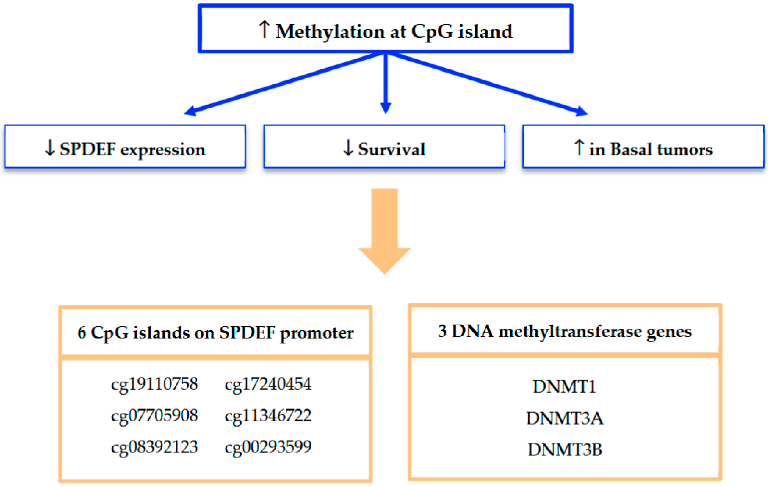 Cancers 17 03556 g007 Cancers 17 03556 g007